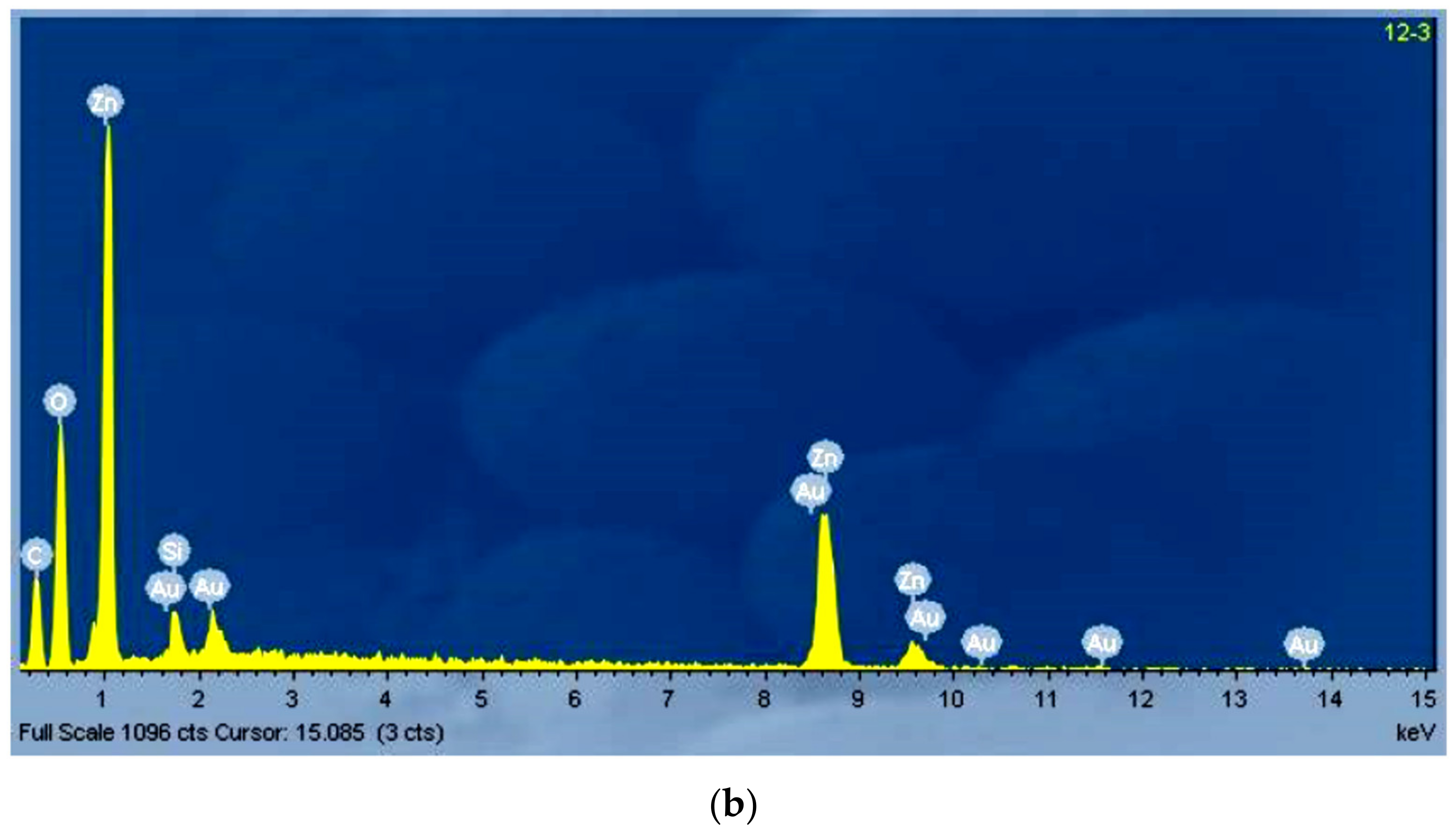 Nanomaterials 11 02490 g008b