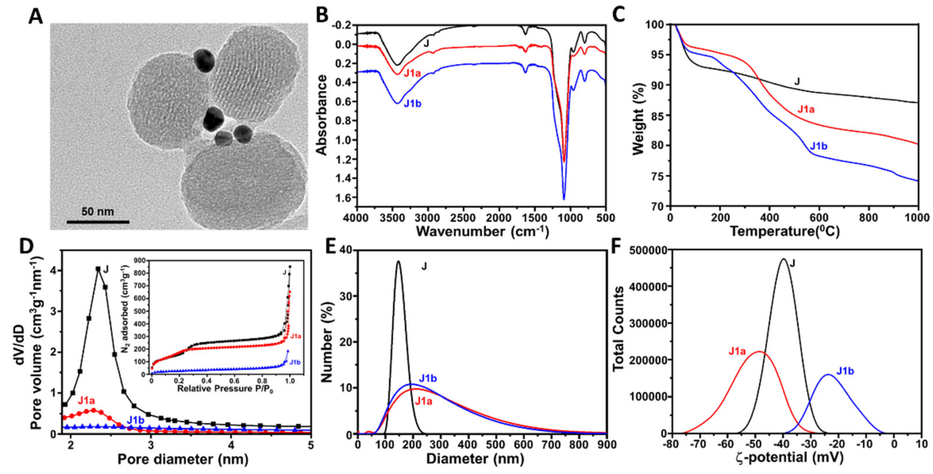 Nanomaterials 11 02492 g001