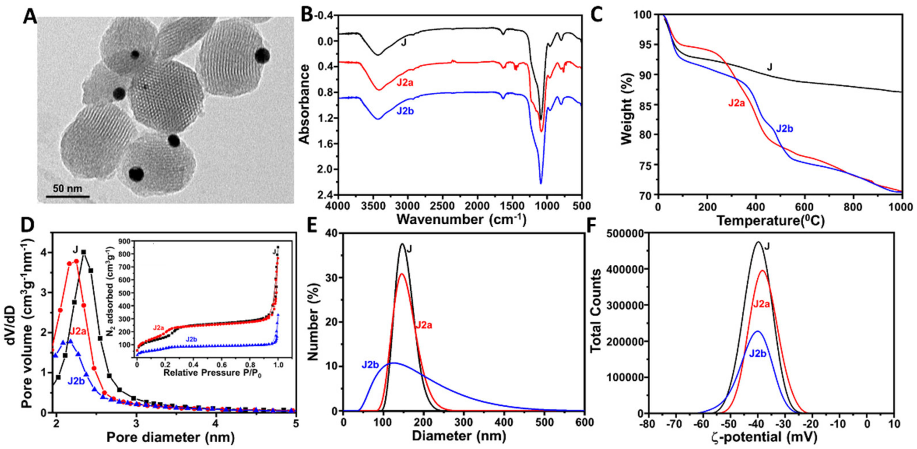 Nanomaterials 11 02492 g002
