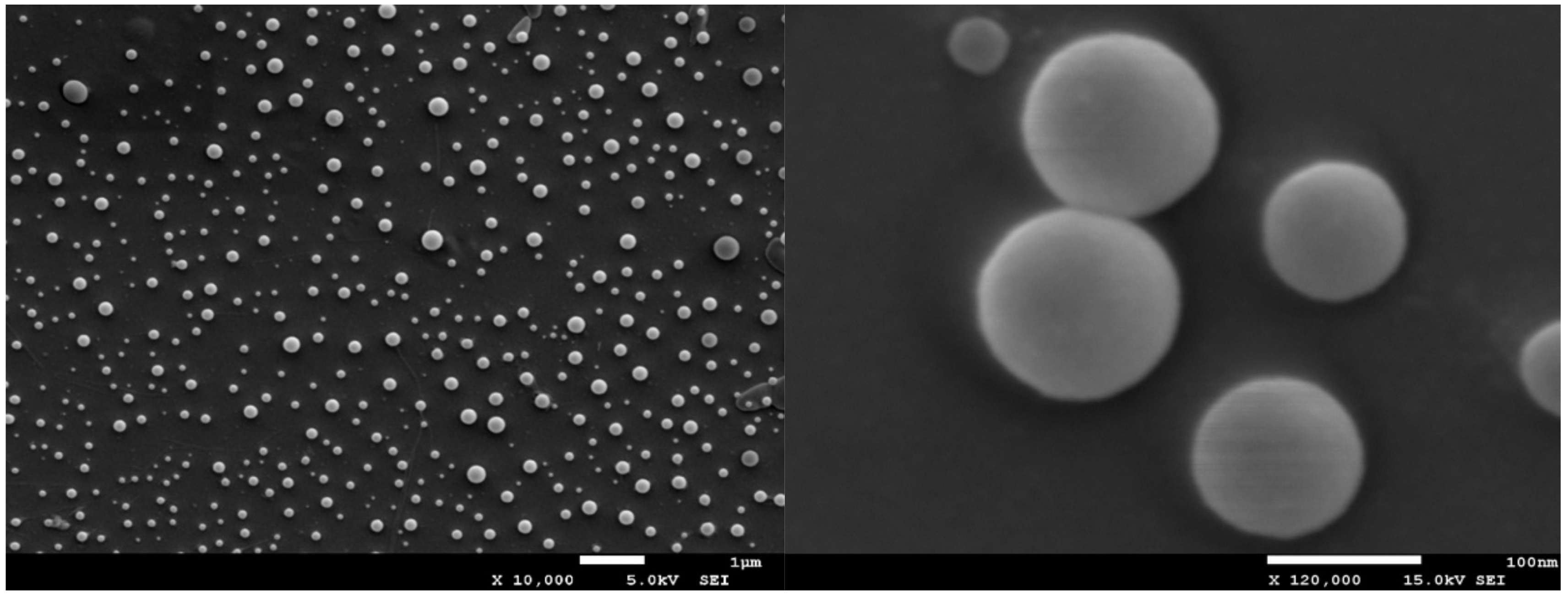 Nanomaterials 11 02495 g001