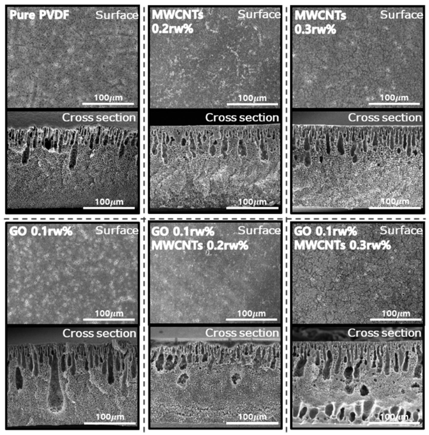 Nanomaterials 11 02498 g002
