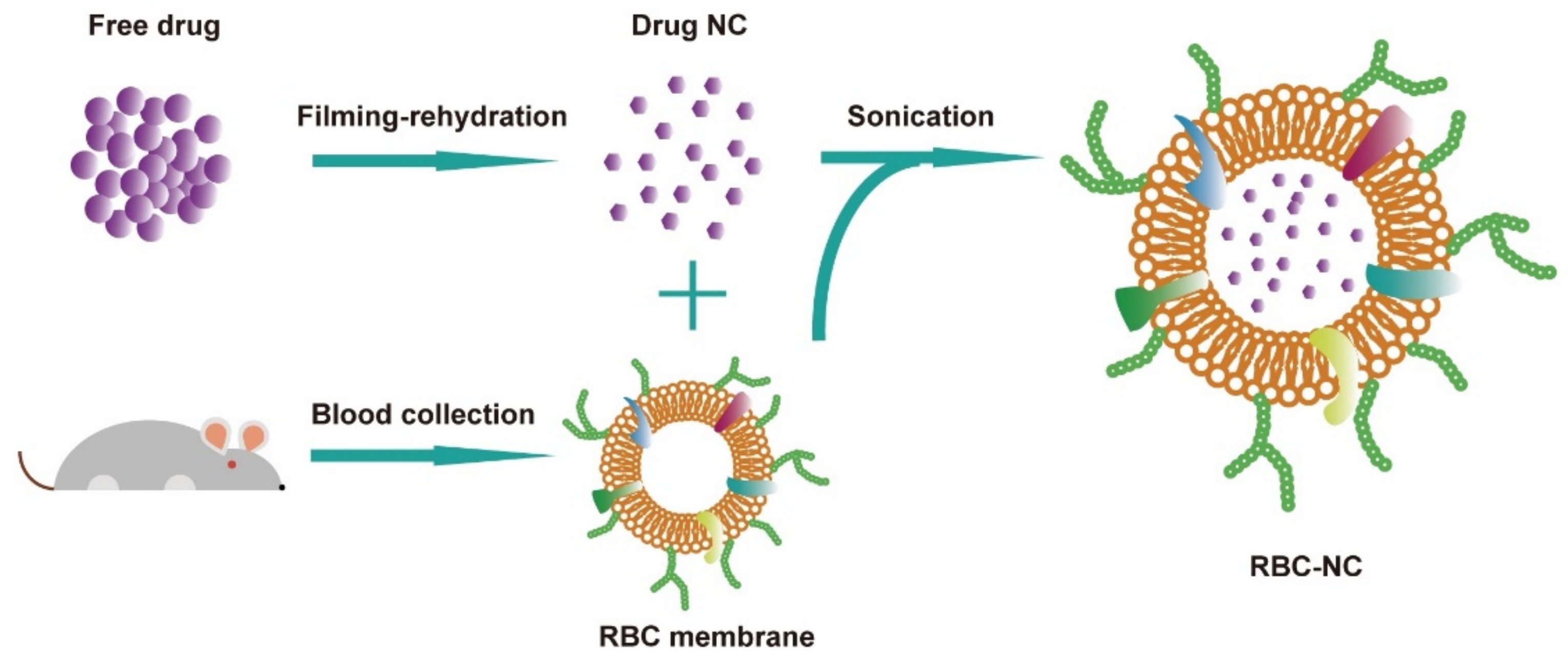 Nanomaterials 11 02513 g001