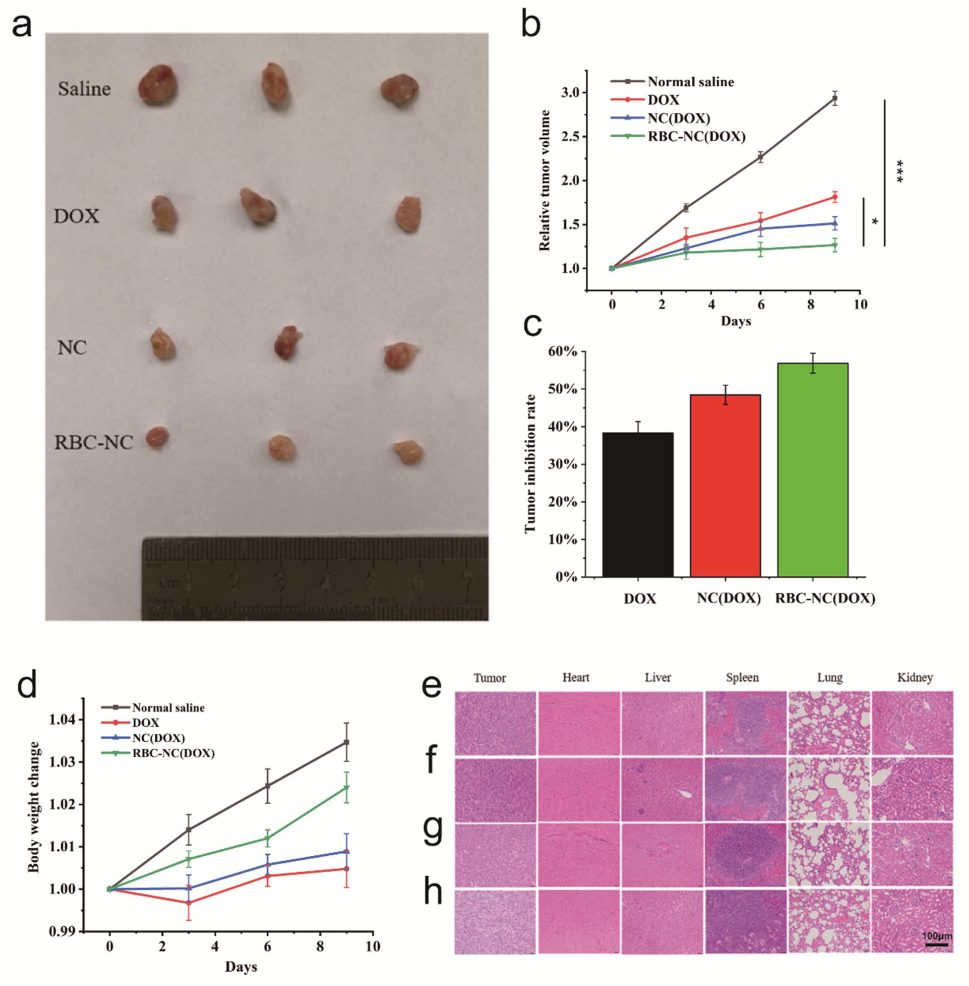 Nanomaterials 11 02513 g005