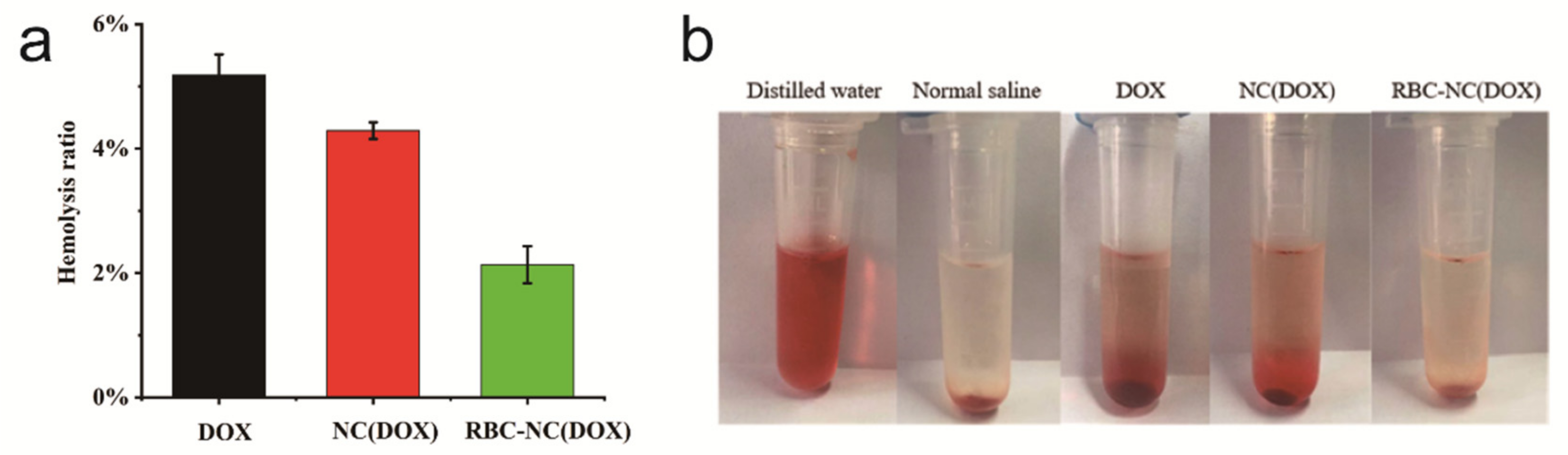 Nanomaterials 11 02513 g006