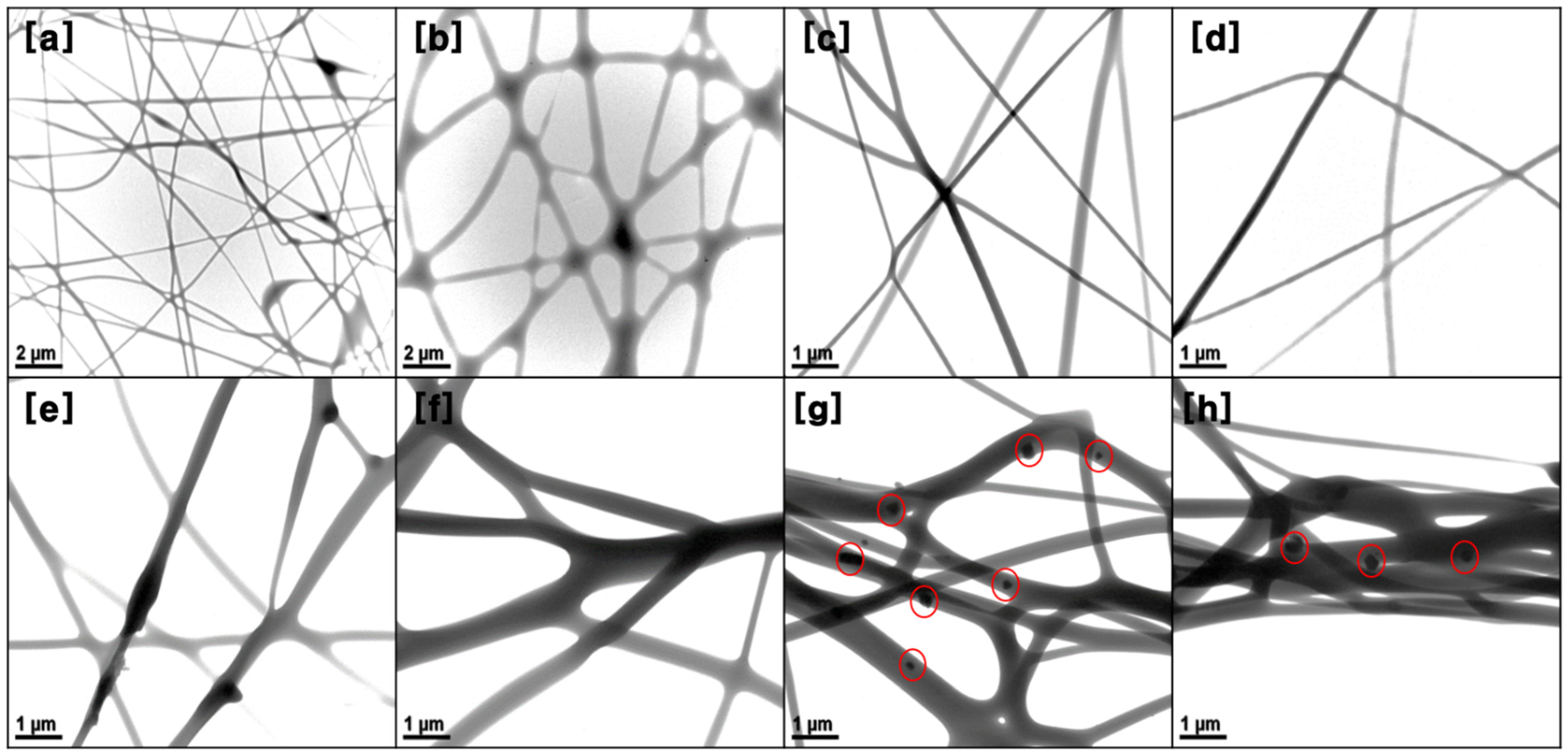 Nanomaterials 11 02514 g005