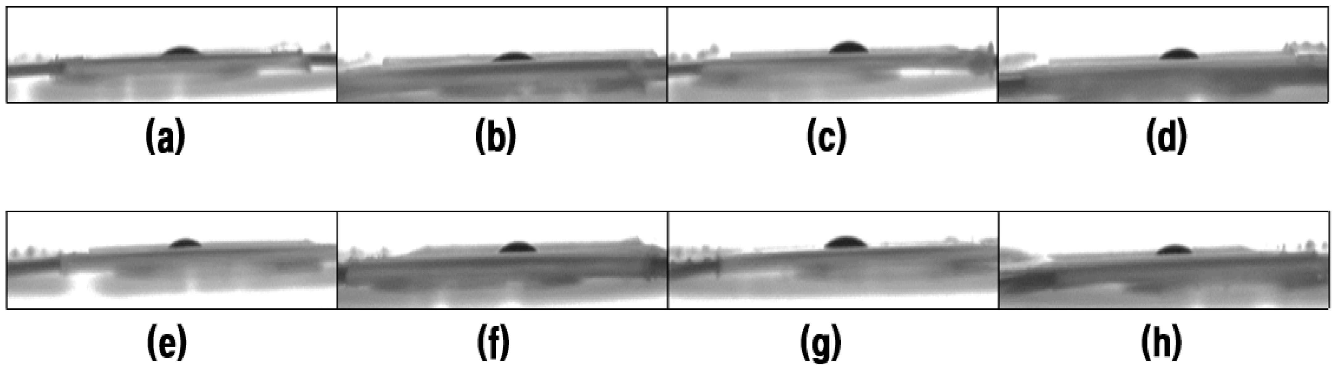 Nanomaterials 11 02514 g010