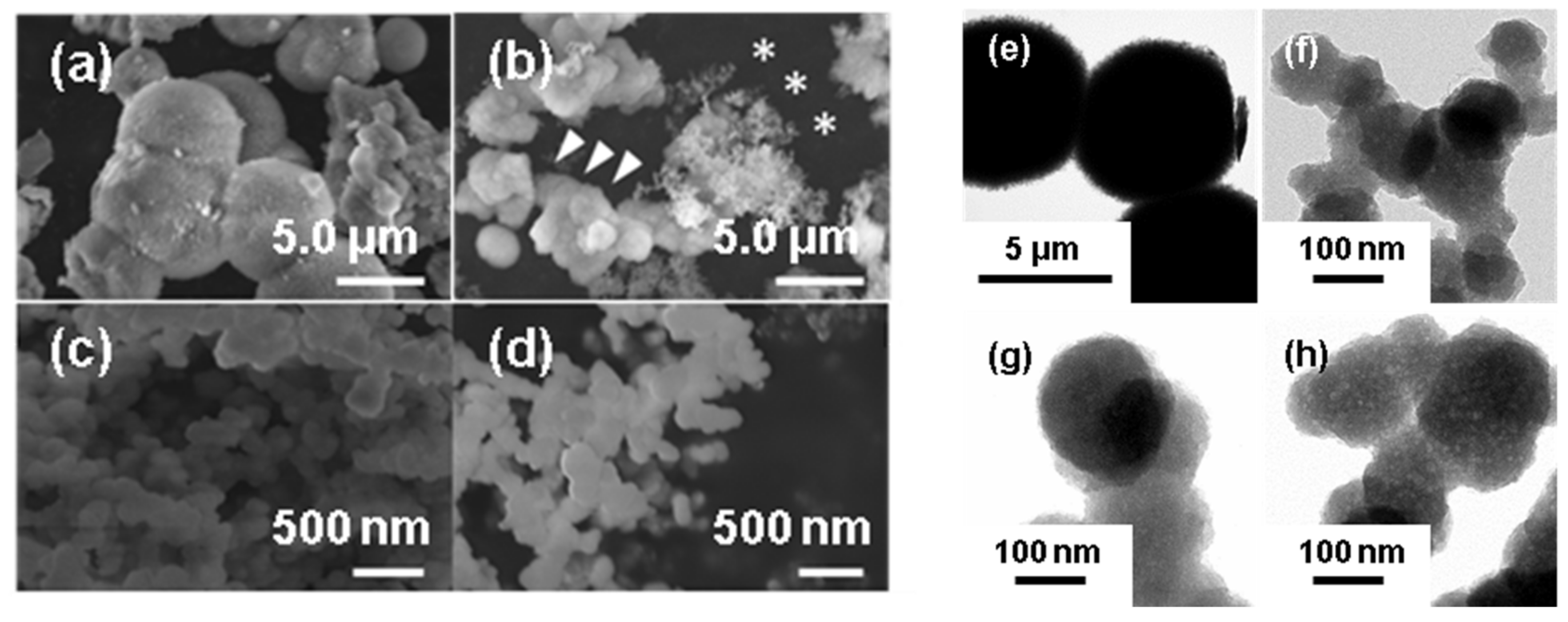 Nanomaterials 11 02517 g001