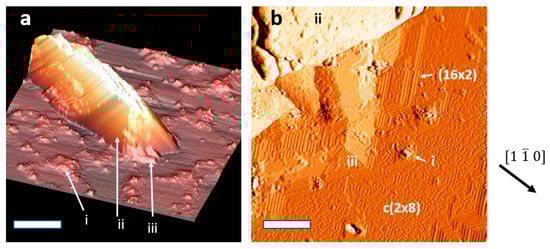 Nanomaterials 11 02521 g0a2 550