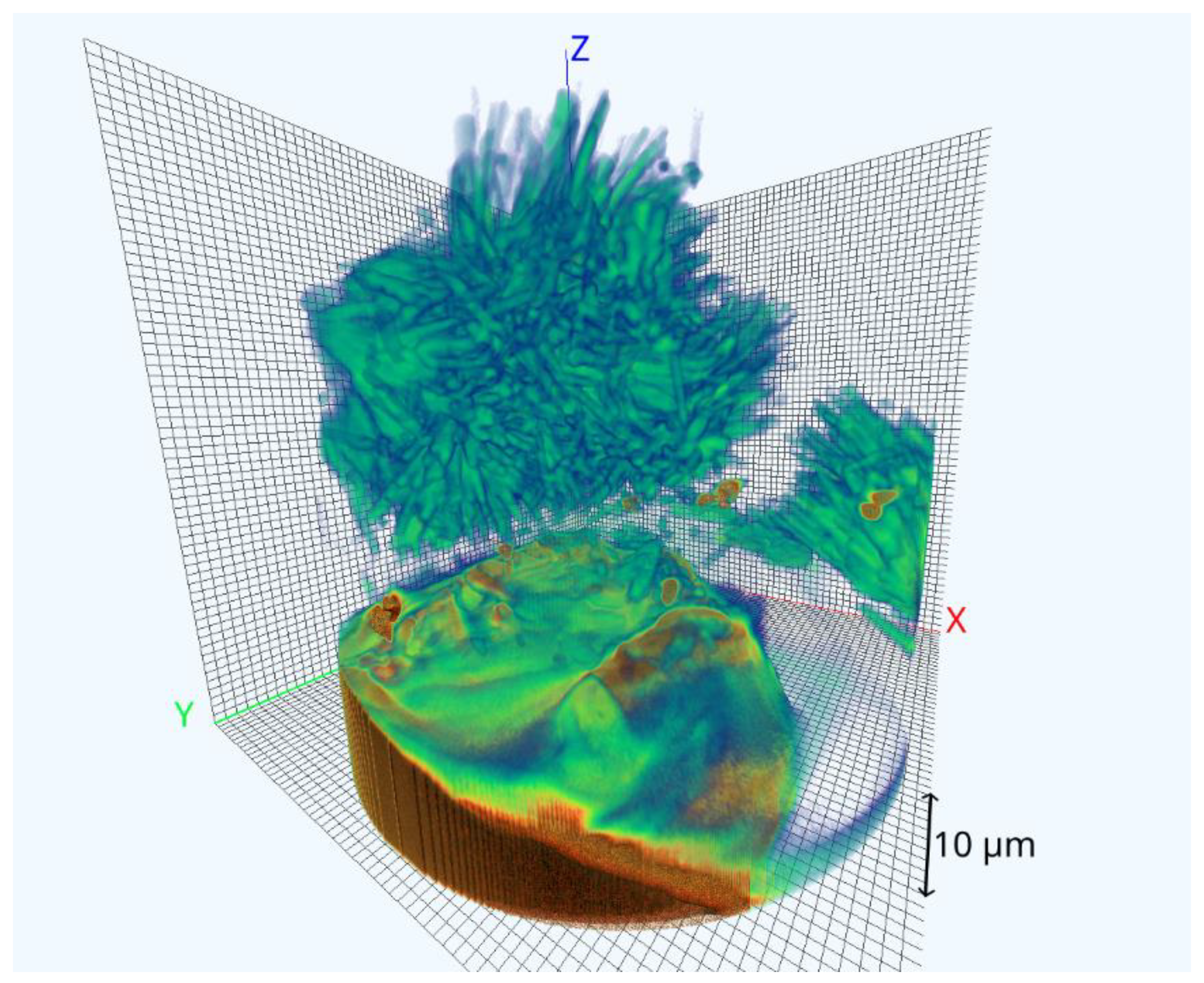 Nanomaterials 11 02524 g002