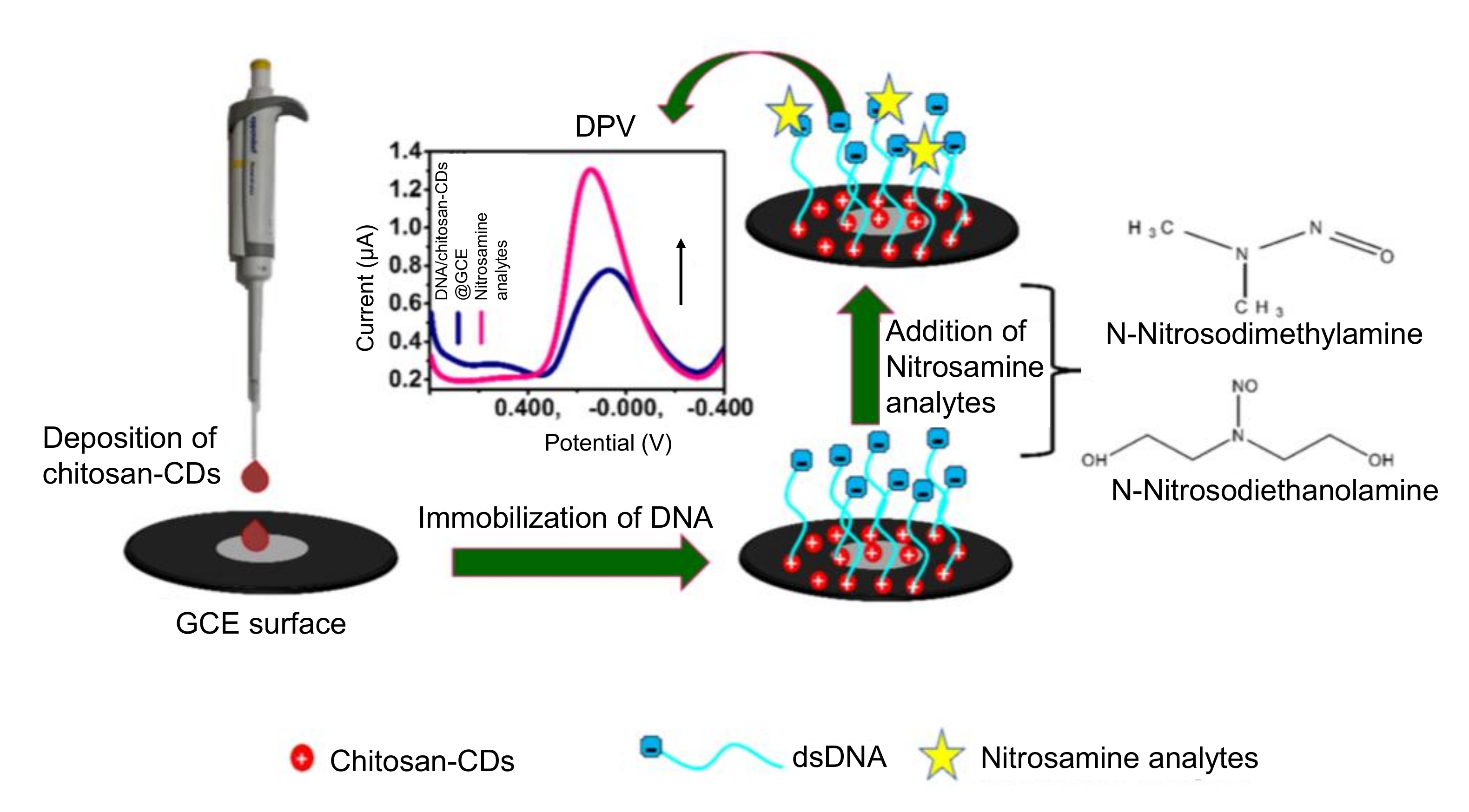 Nanomaterials 11 02525 g014