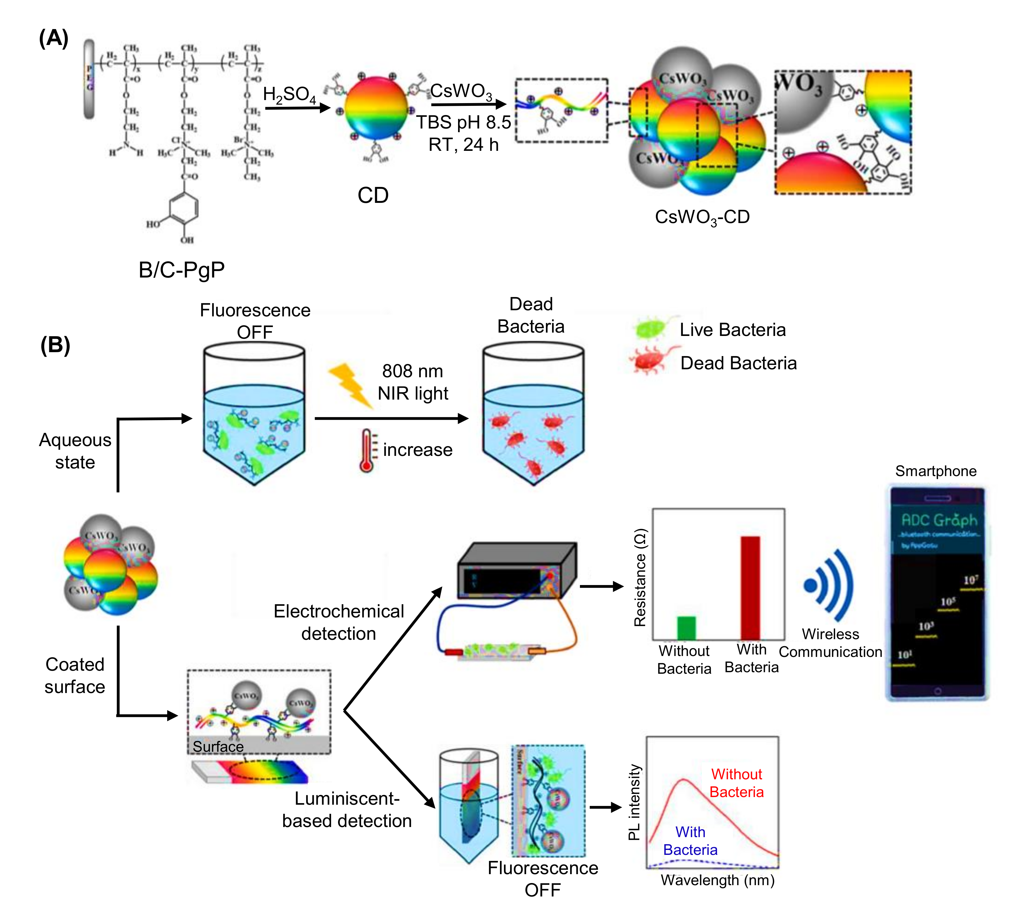 Nanomaterials 11 02525 g019