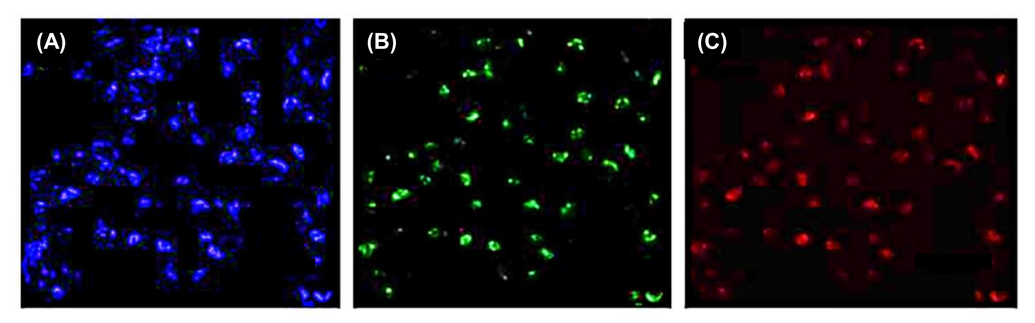 Nanomaterials 11 02525 g022