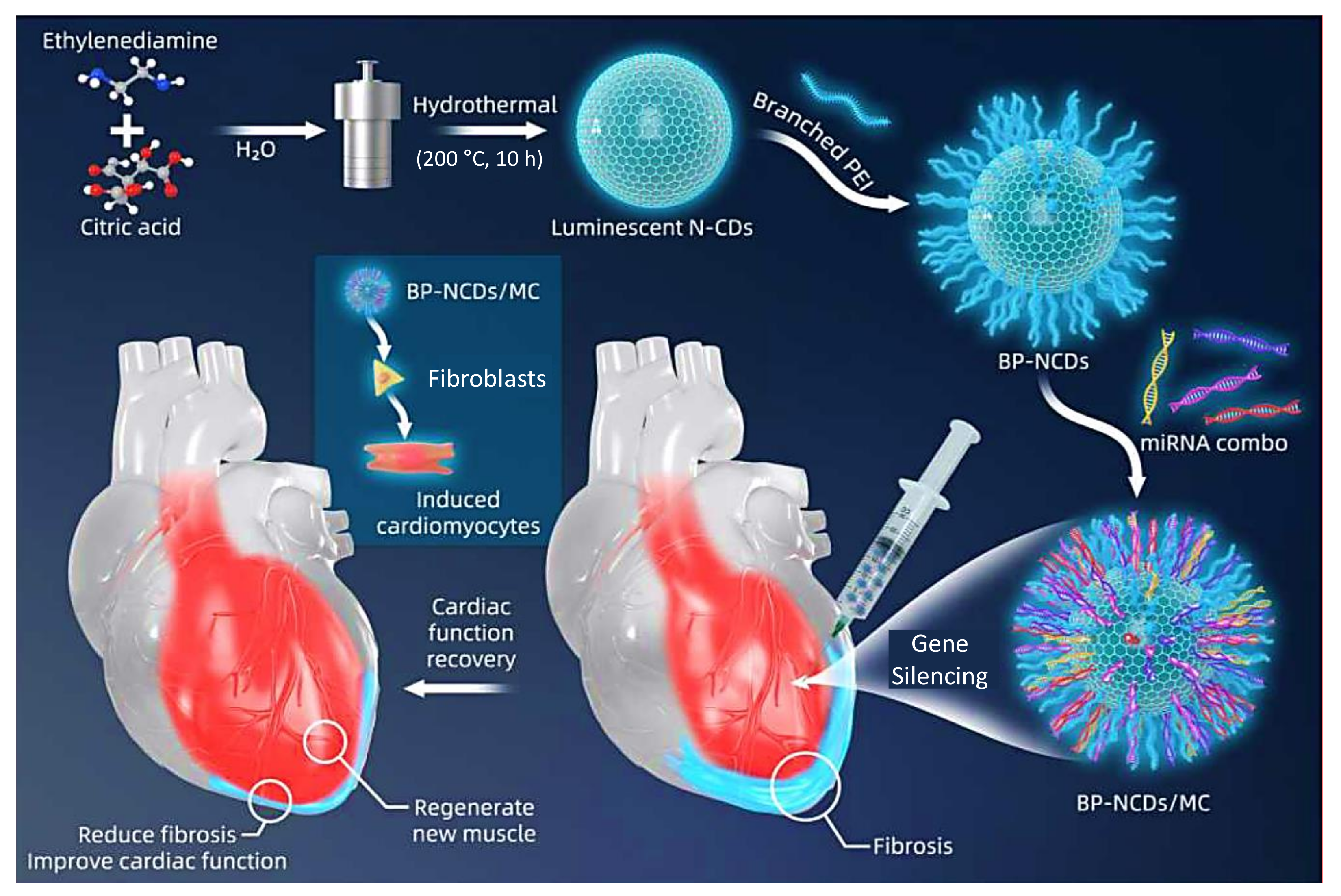 Nanomaterials 11 02525 g025