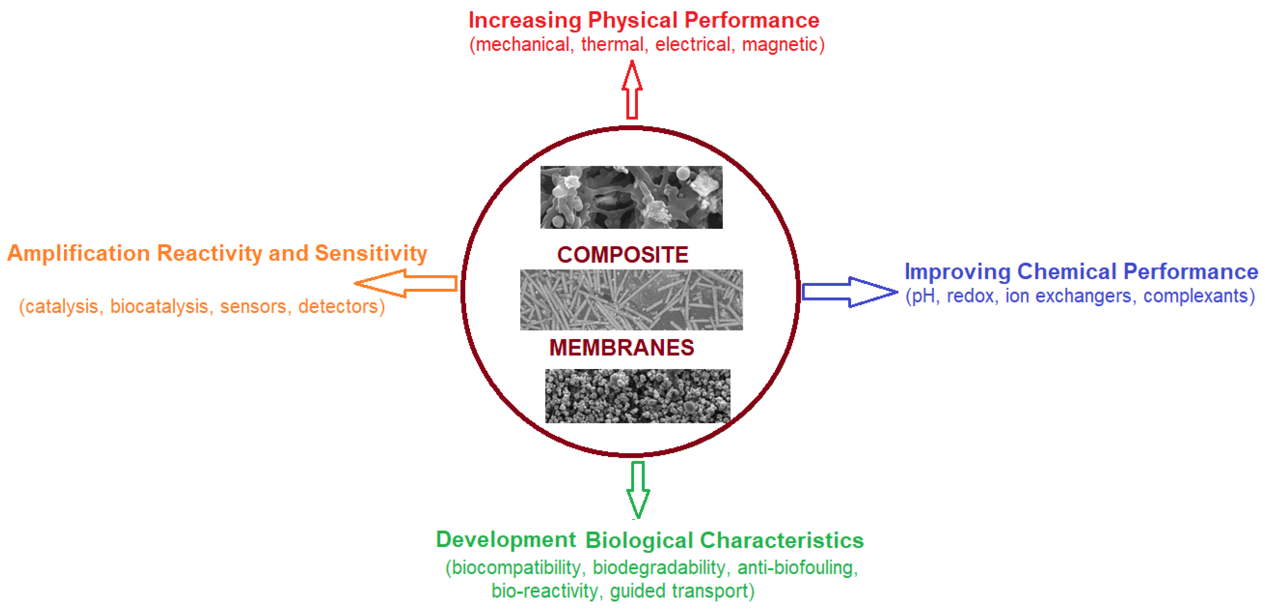 Nanomaterials 11 02526 g001