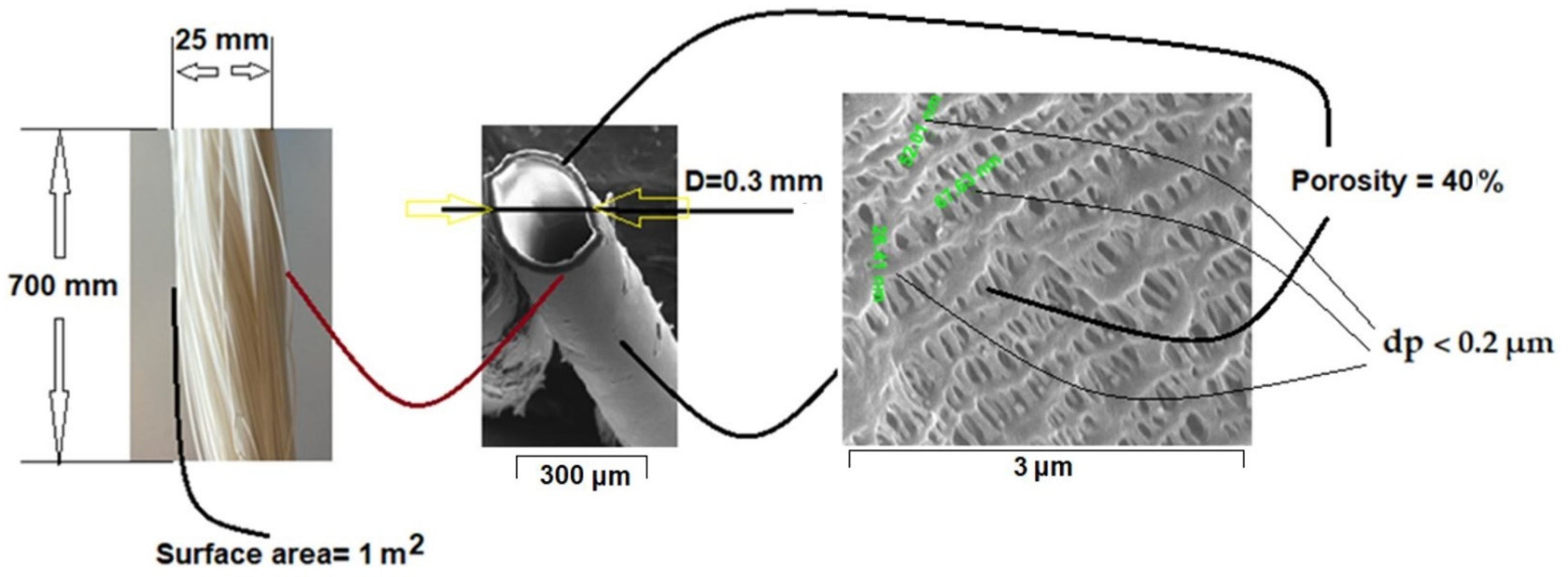 Nanomaterials 11 02526 g002