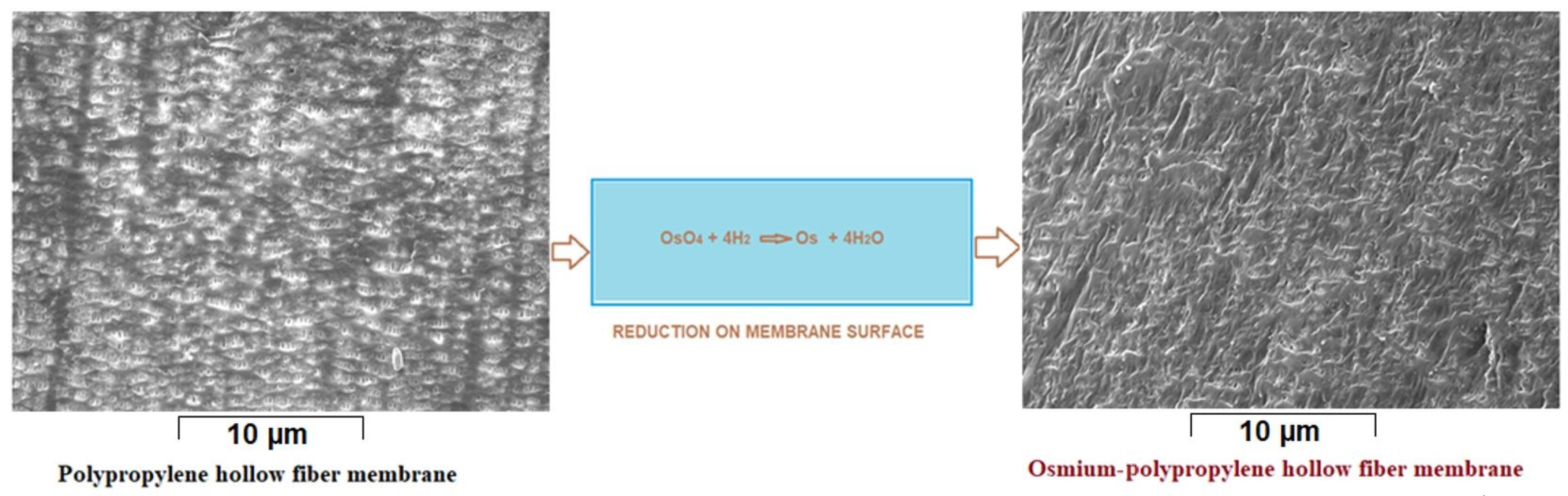 Nanomaterials 11 02526 g003
