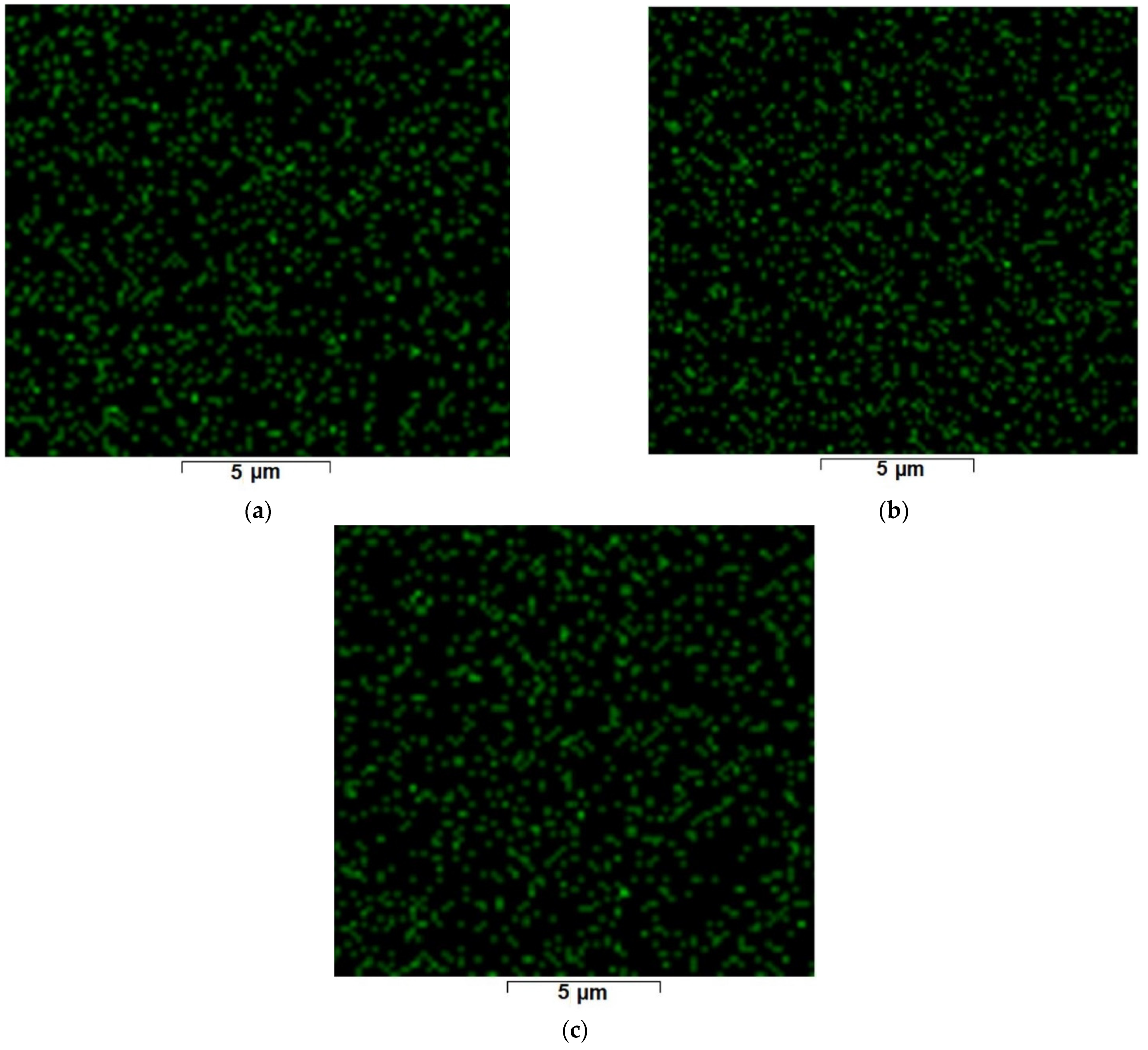 Nanomaterials 11 02526 g009