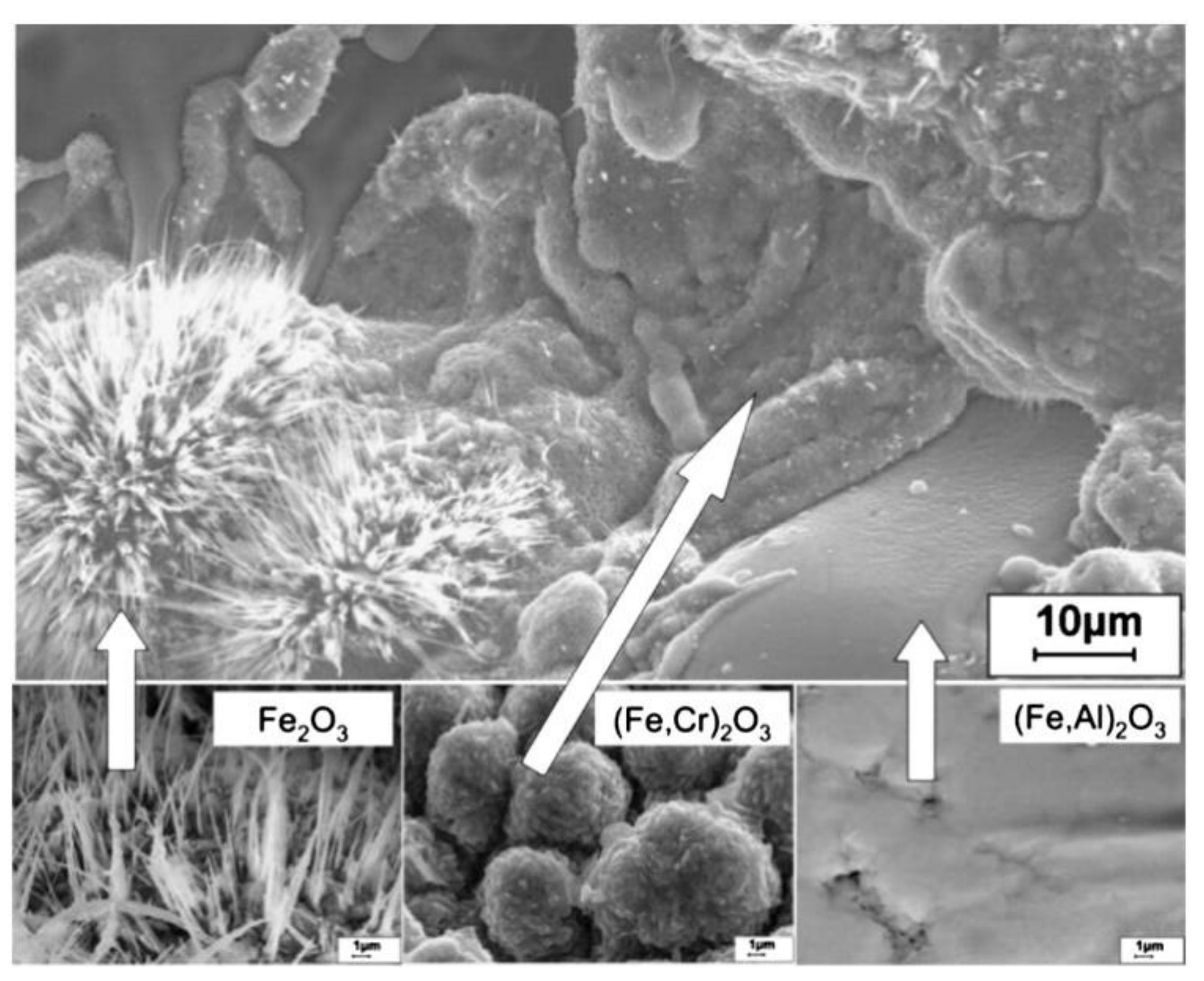 Nanomaterials 11 02527 g008 Nanomaterials 11 02527 g008