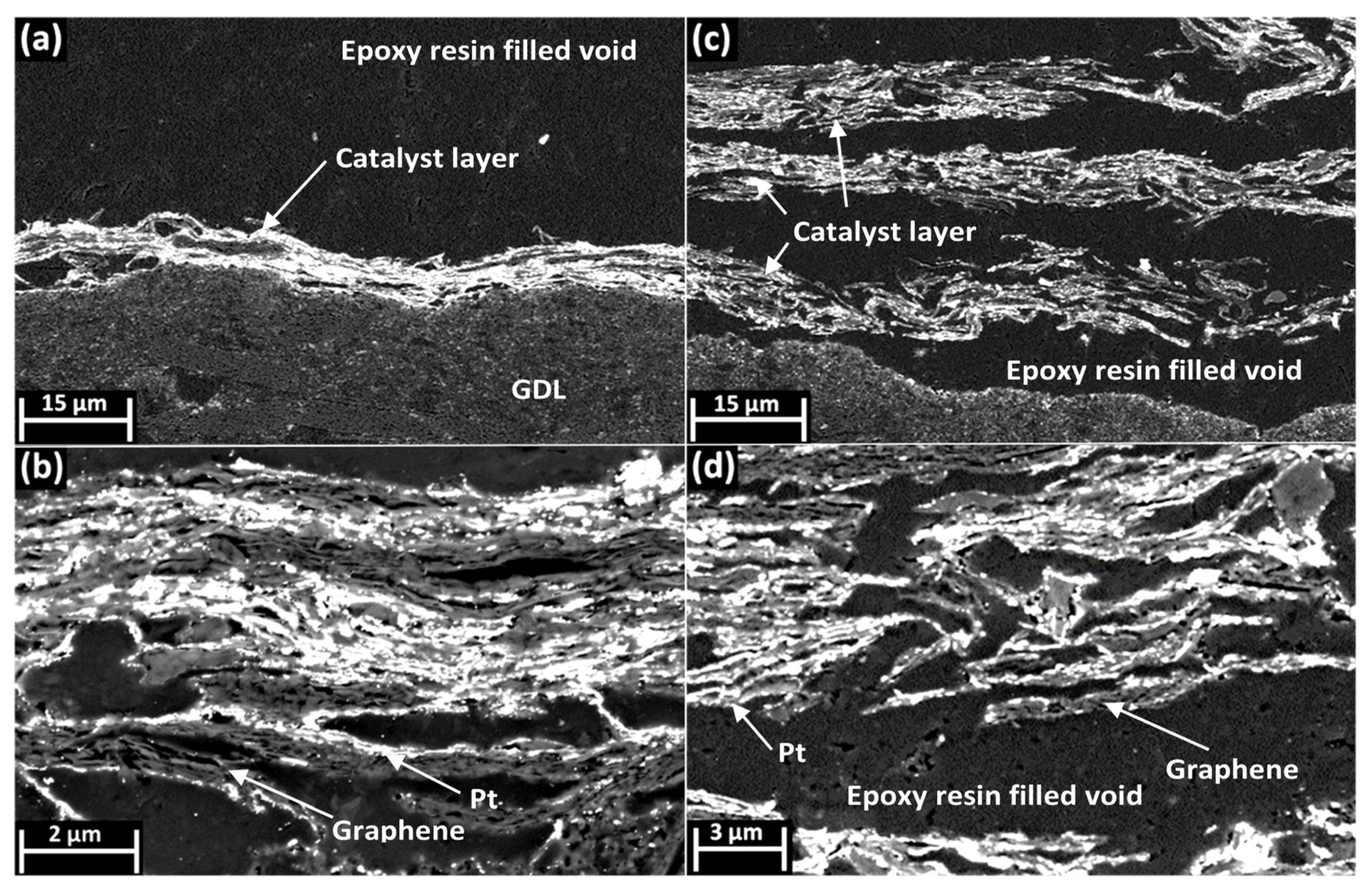 Nanomaterials 11 02530 g002 Nanomaterials 11 02530 g002