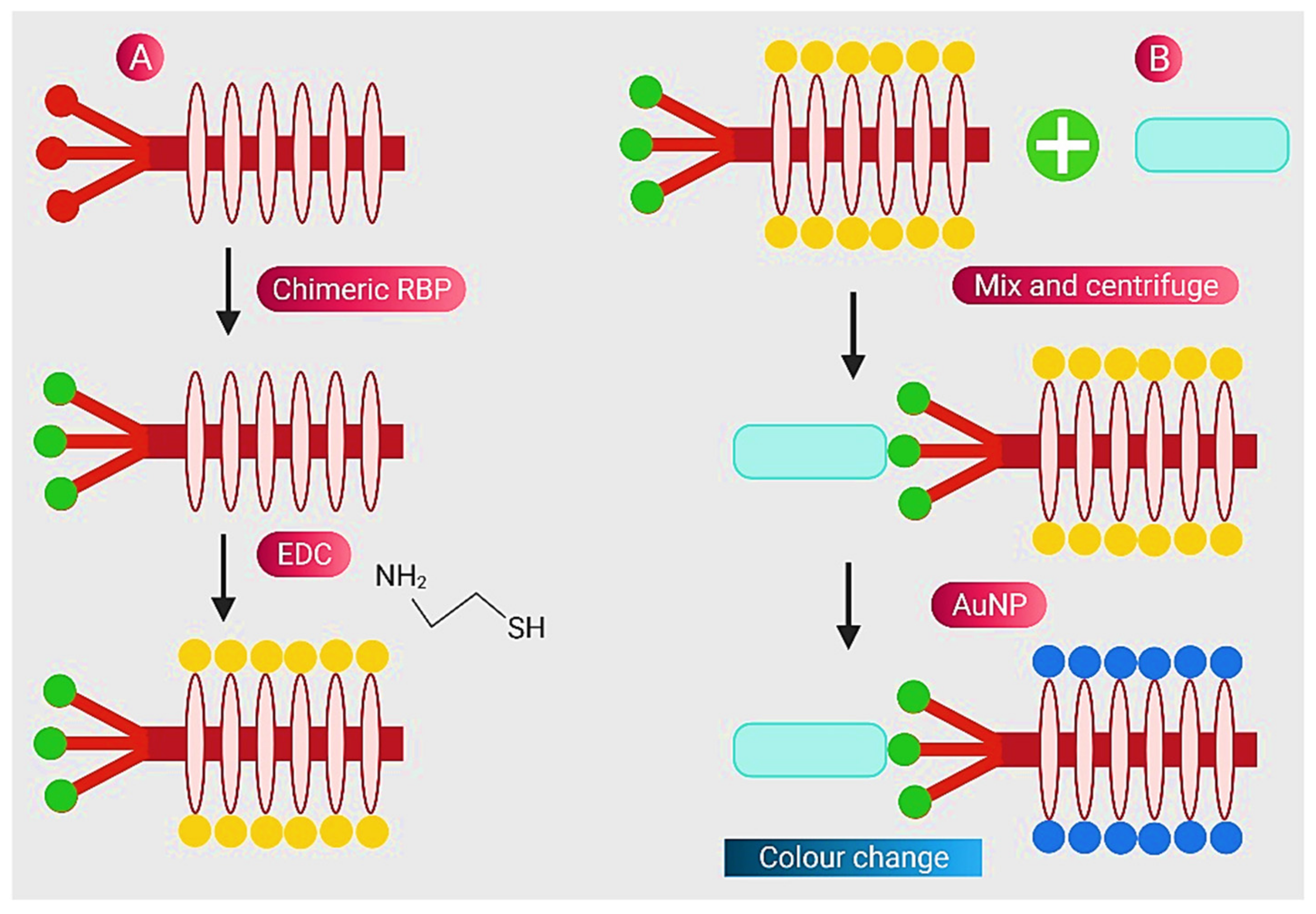 Nanomaterials 11 02535 g001