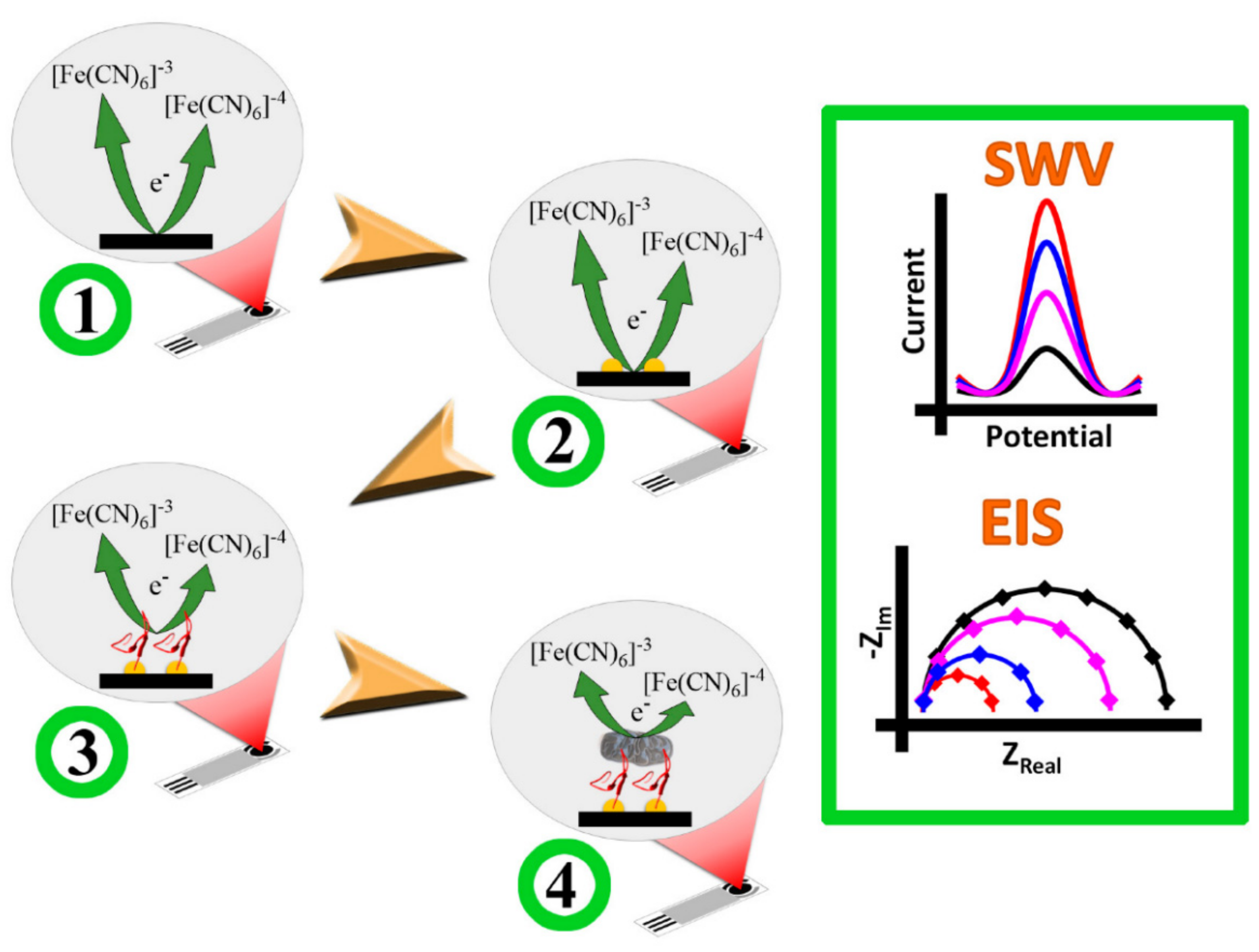 Nanomaterials 11 02535 g003