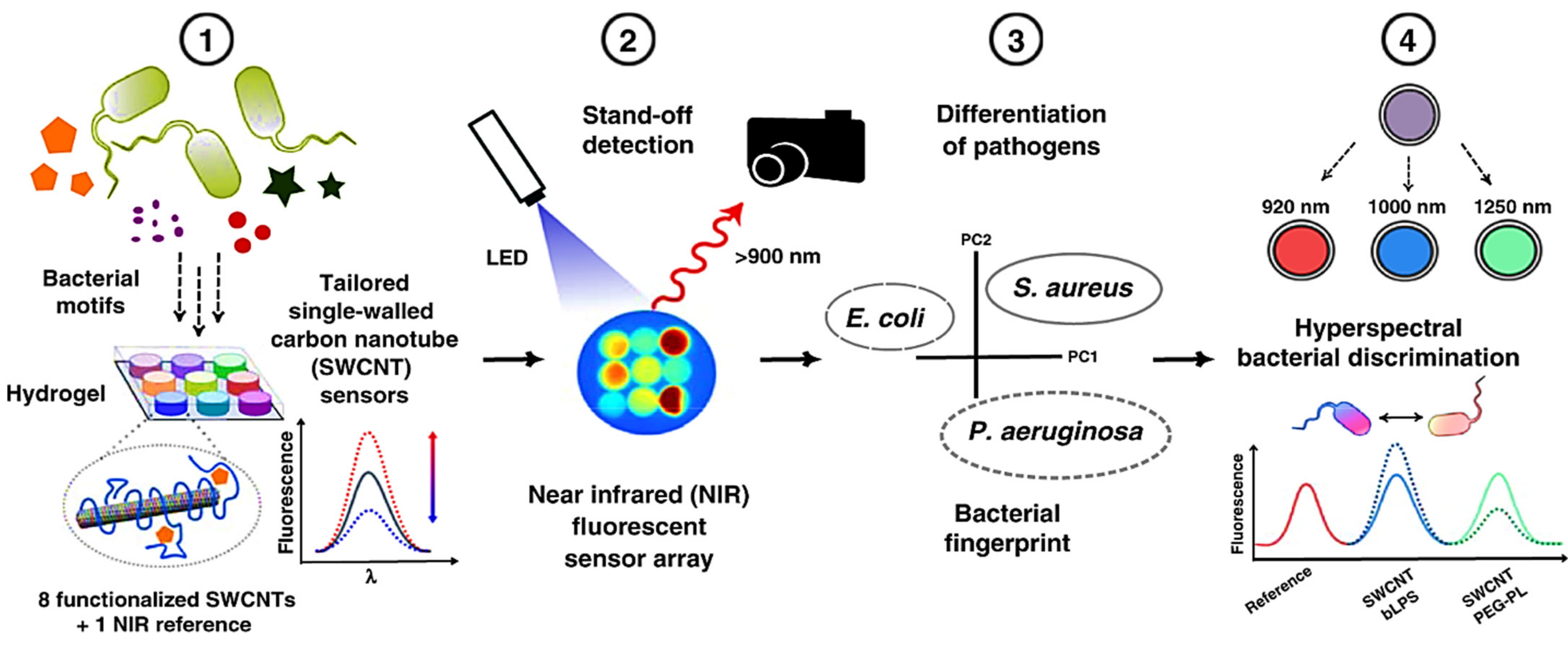 Nanomaterials 11 02535 g005