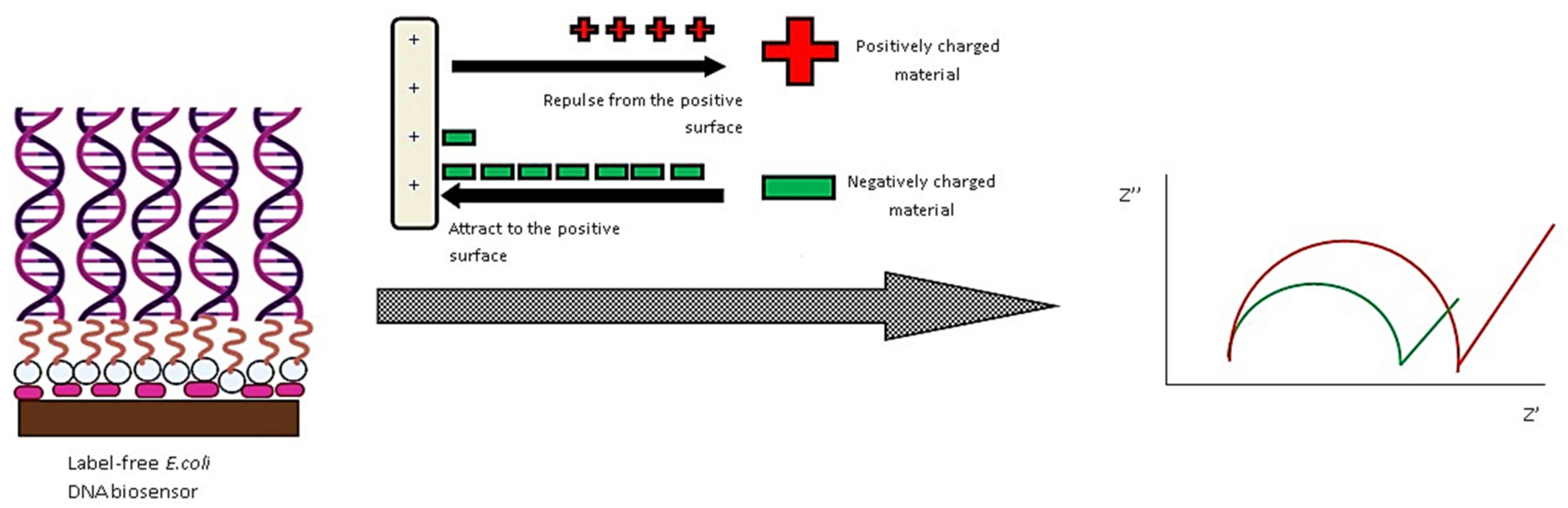 Nanomaterials 11 02535 g006