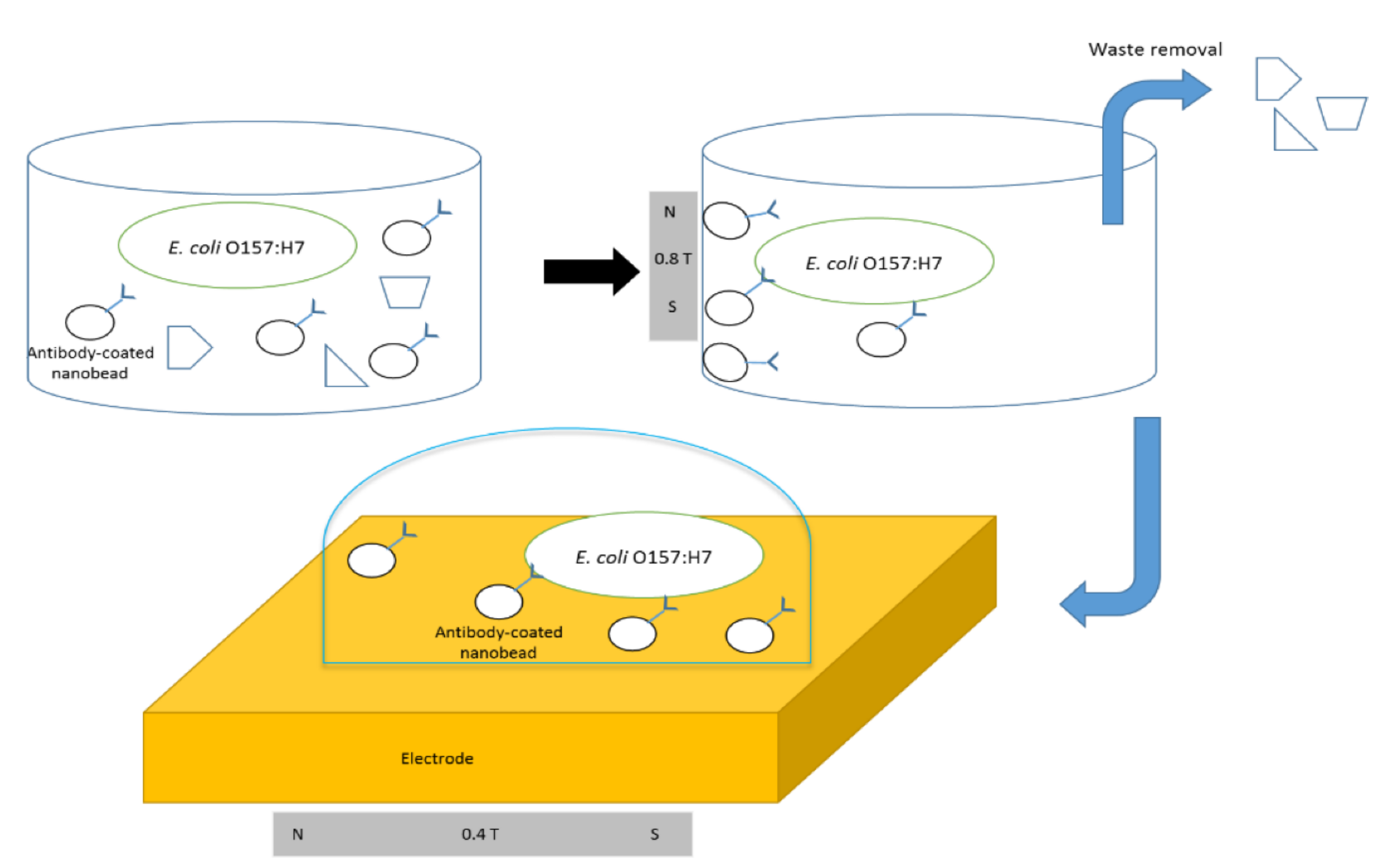Nanomaterials 11 02535 g007