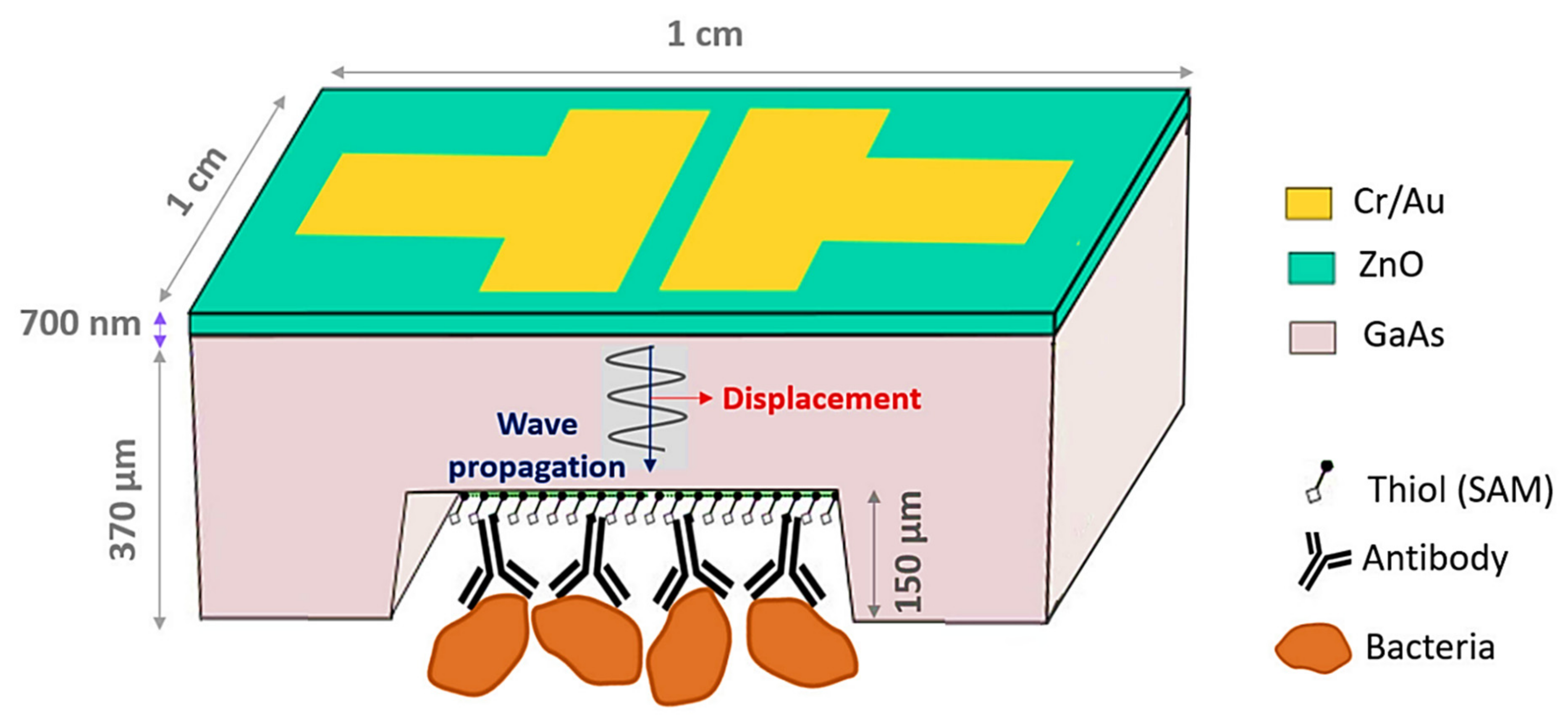 Nanomaterials 11 02535 g008