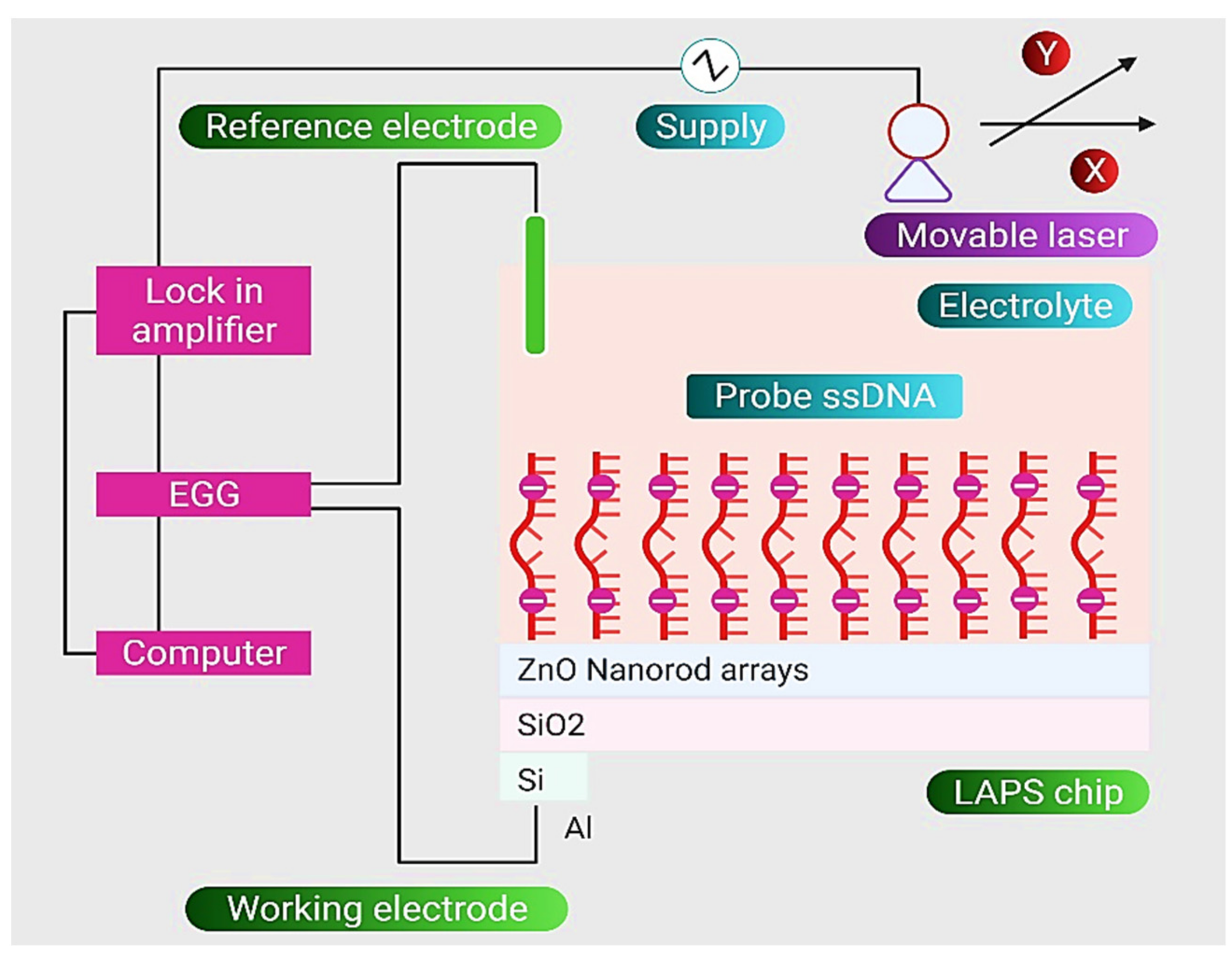 Nanomaterials 11 02535 g009