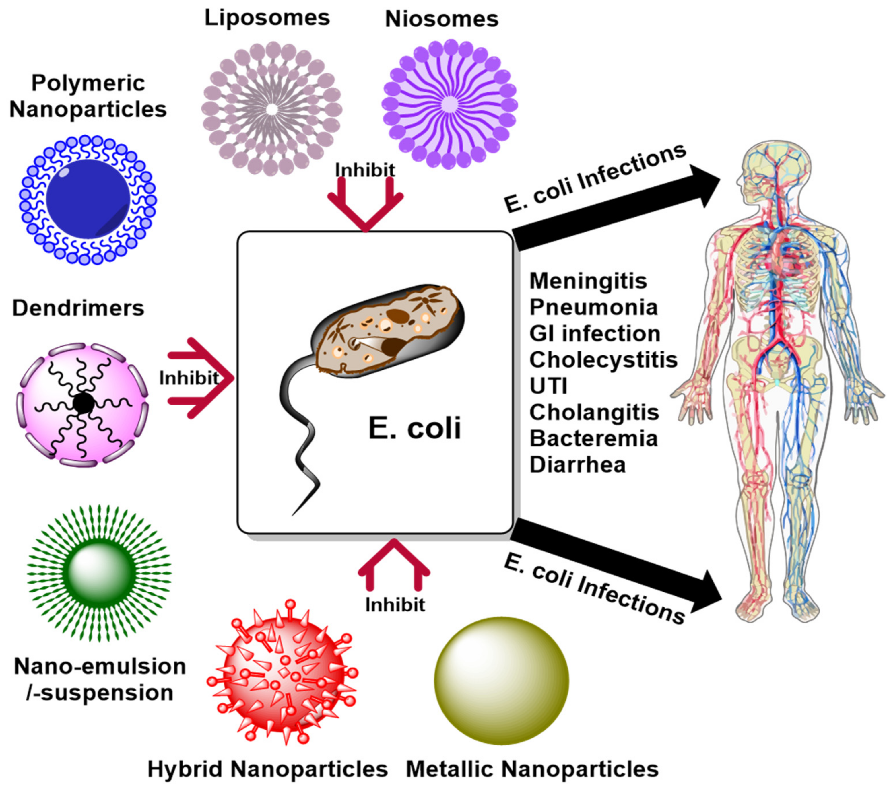 Nanomaterials 11 02535 g010