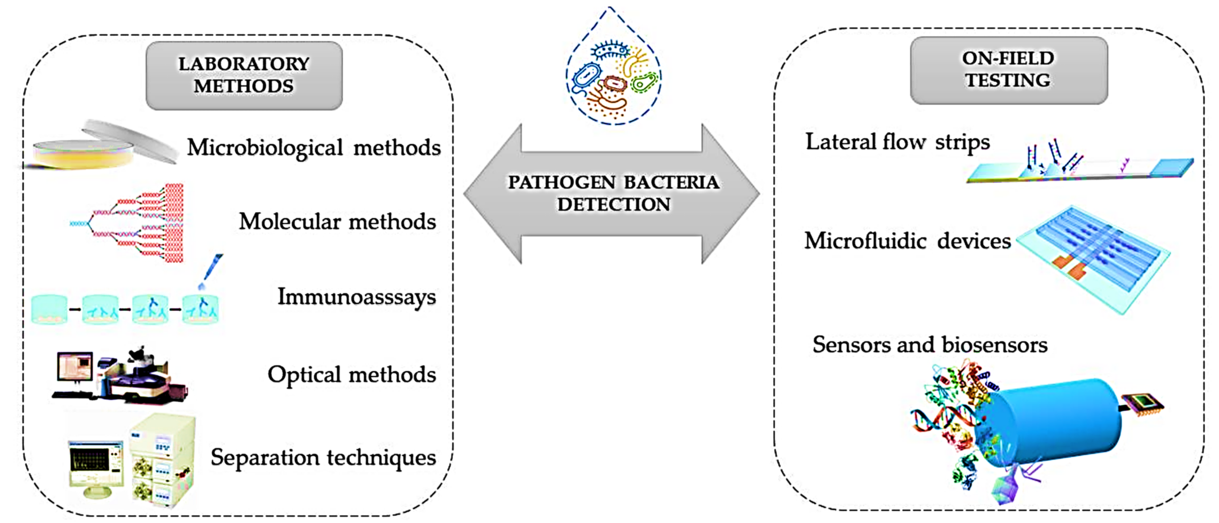 Nanomaterials 11 02535 g011
