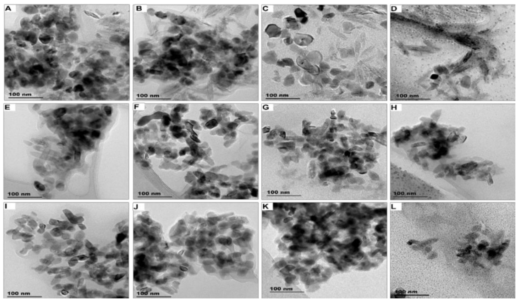 Nanomaterials 11 02537 g001