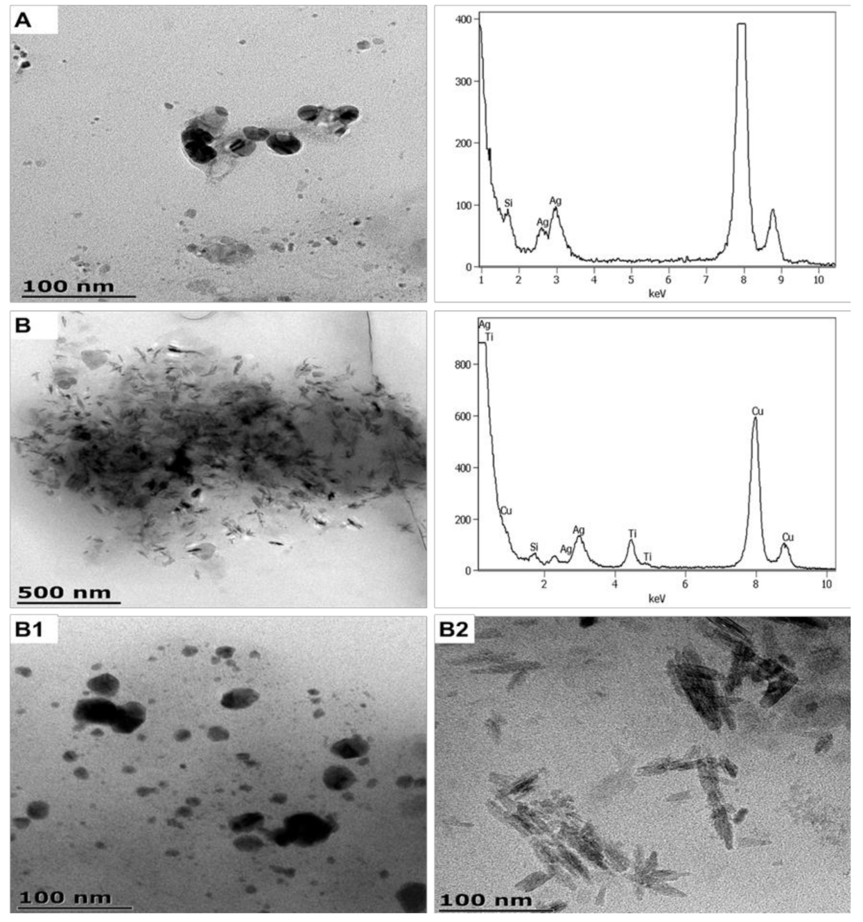 Nanomaterials 11 02537 g003