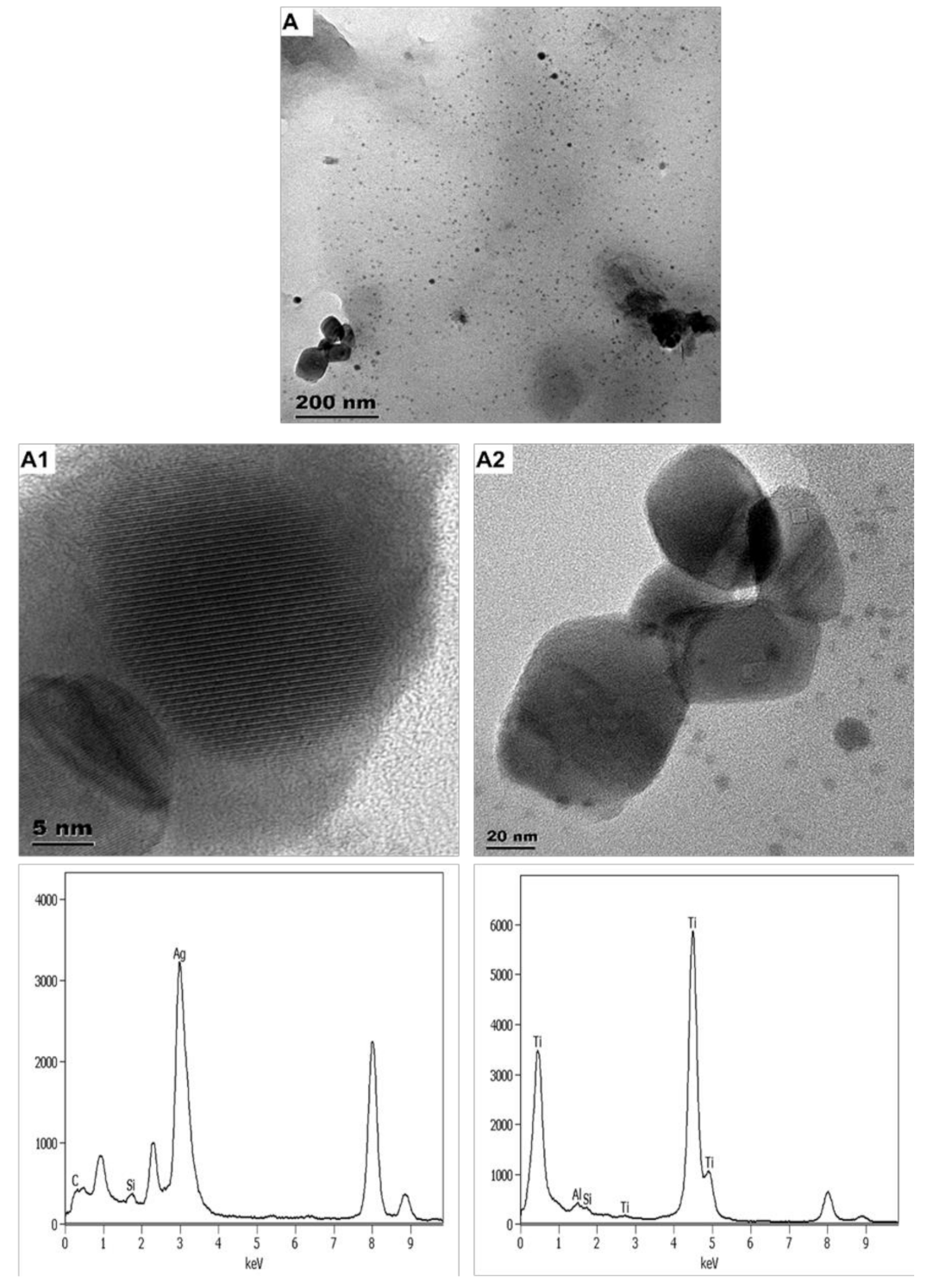 Nanomaterials 11 02537 g004