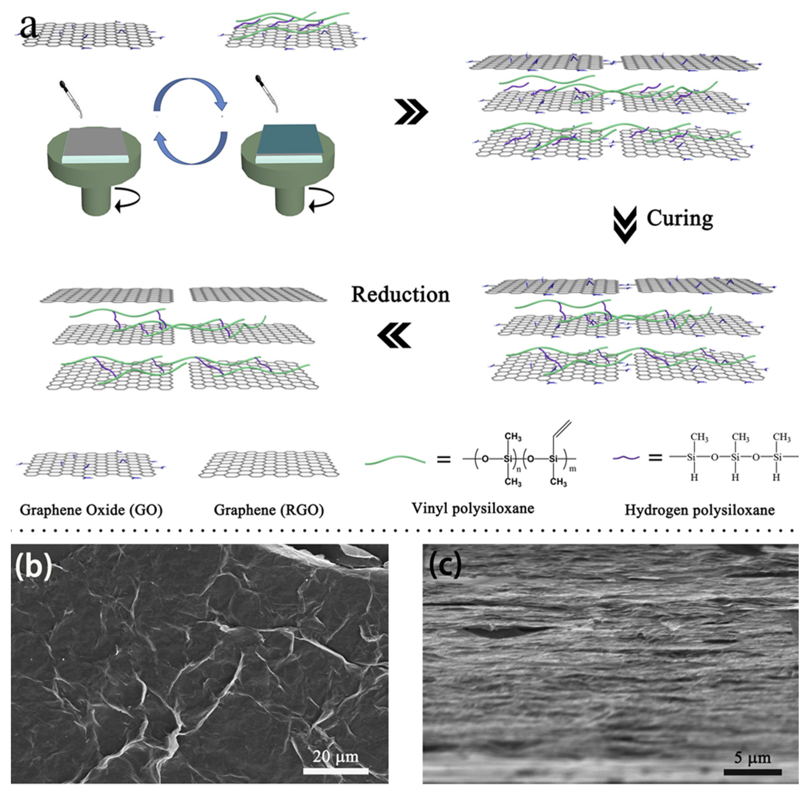 Nanomaterials 11 02539 g004