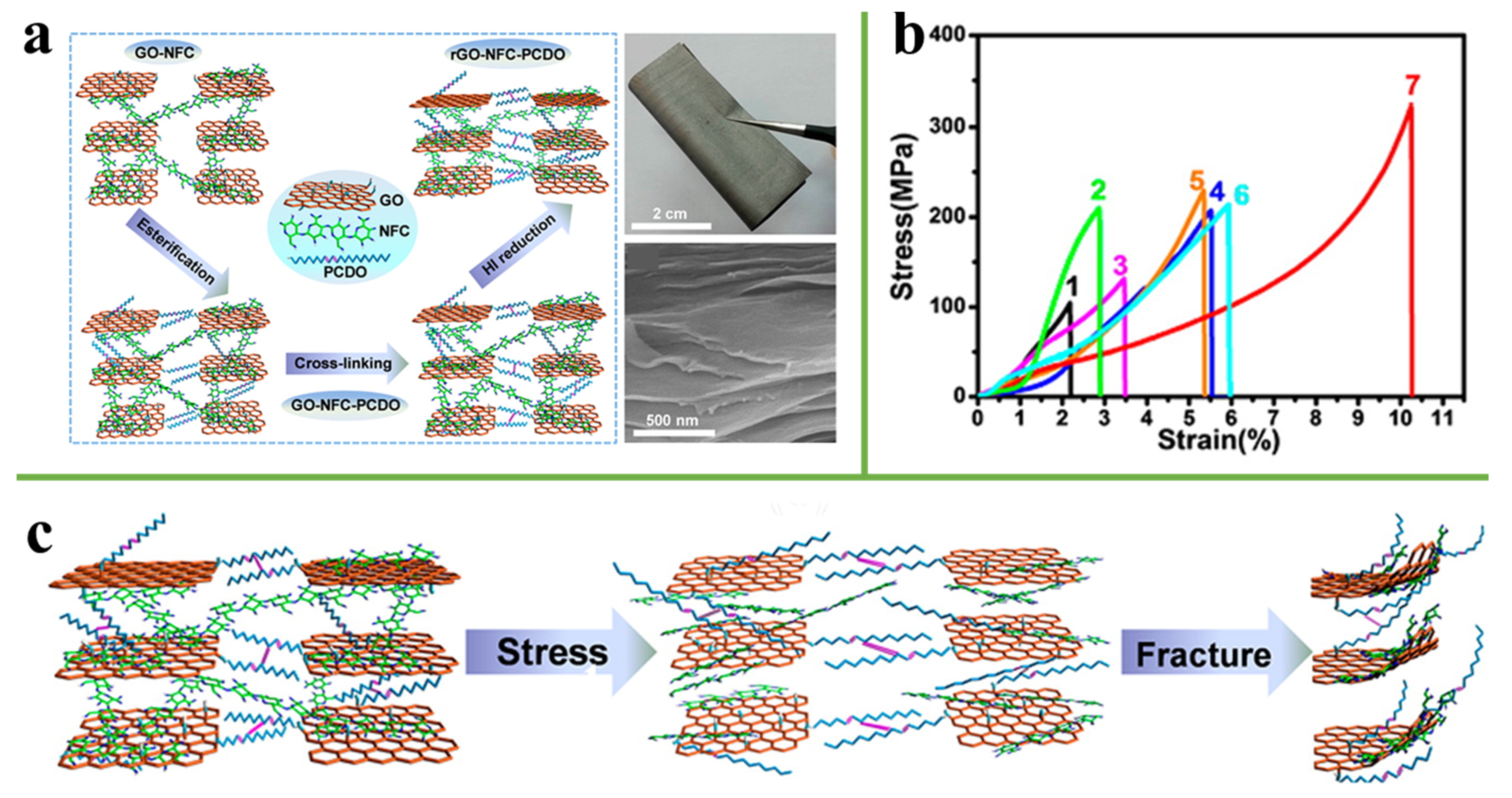 Nanomaterials 11 02539 g007