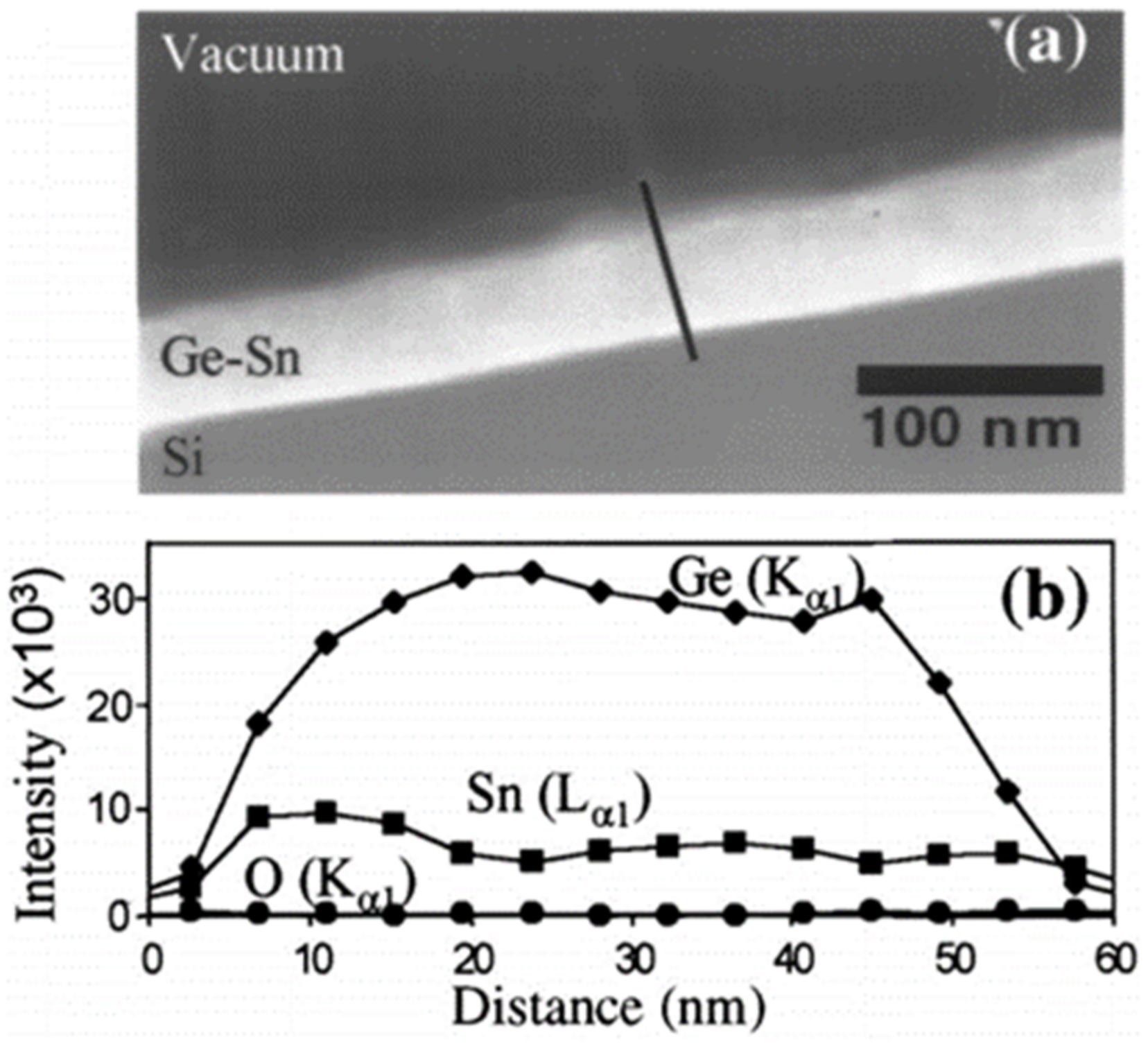 Nanomaterials 11 02556 g003
