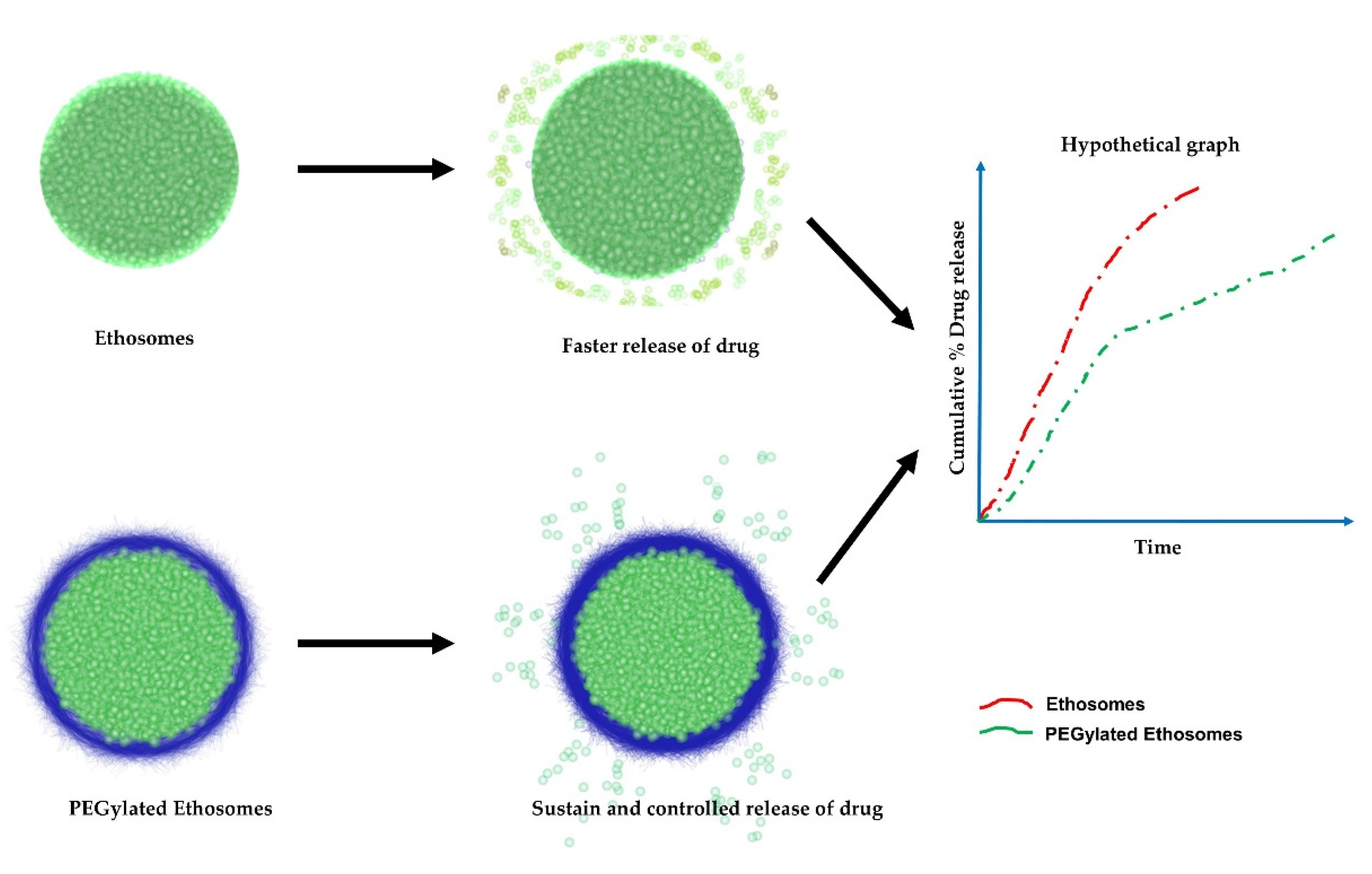 Nanomaterials 11 02557 g004