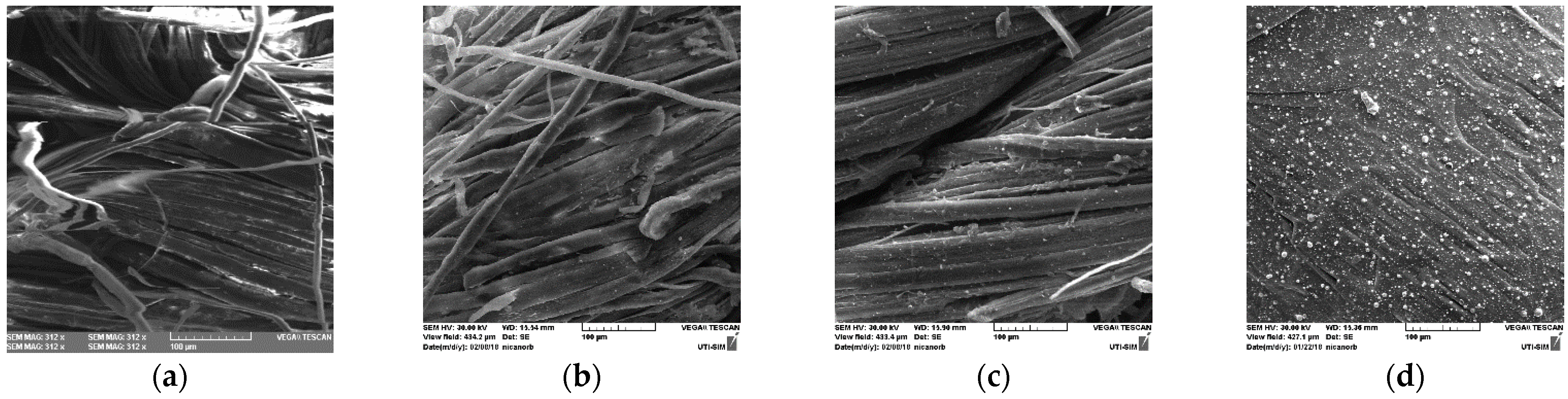 Nanomaterials 11 02560 g005