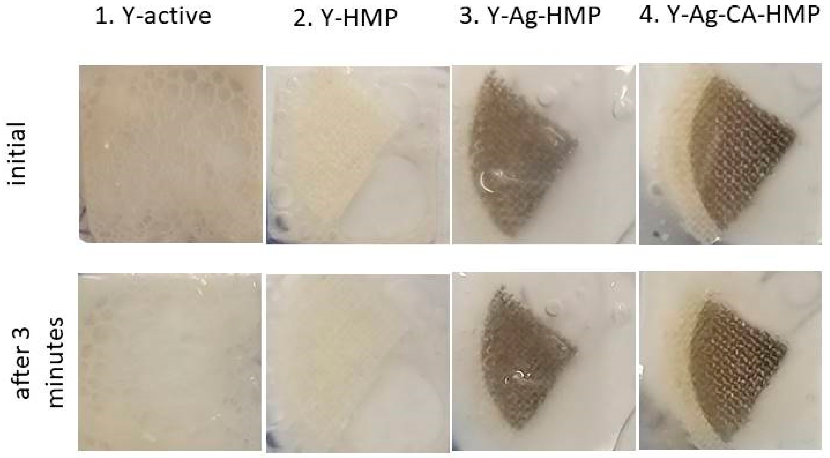 Nanomaterials 11 02560 g011
