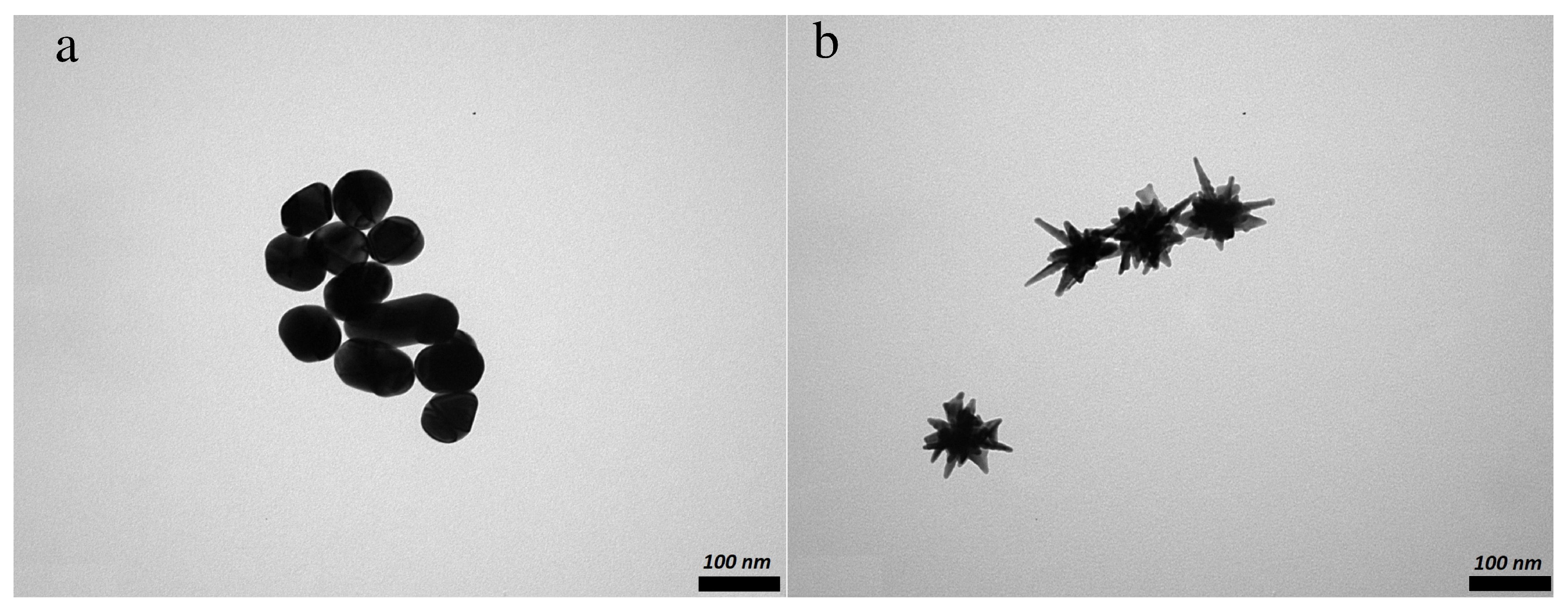 Nanomaterials 11 02565 g001