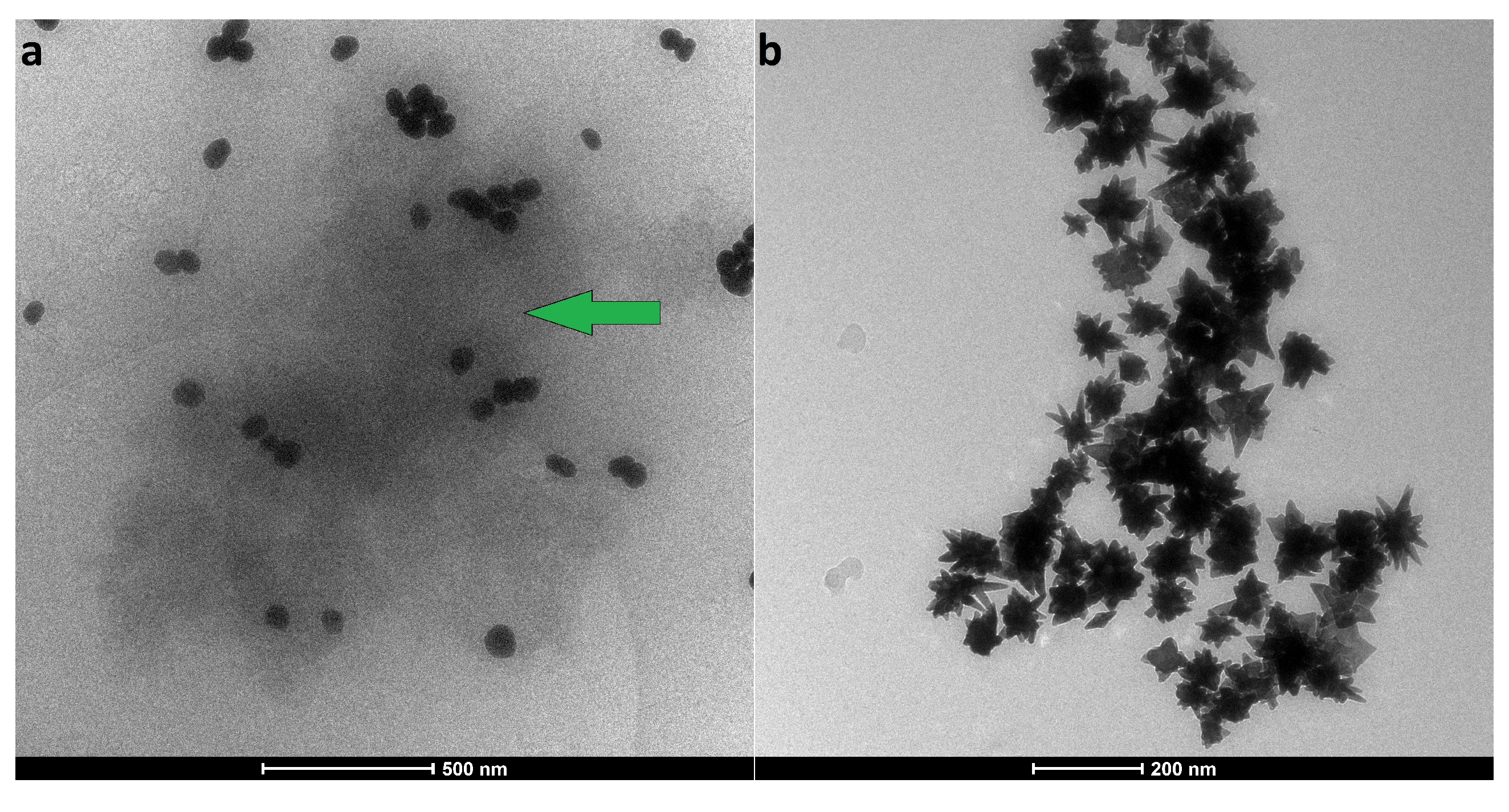 Nanomaterials 11 02565 g004