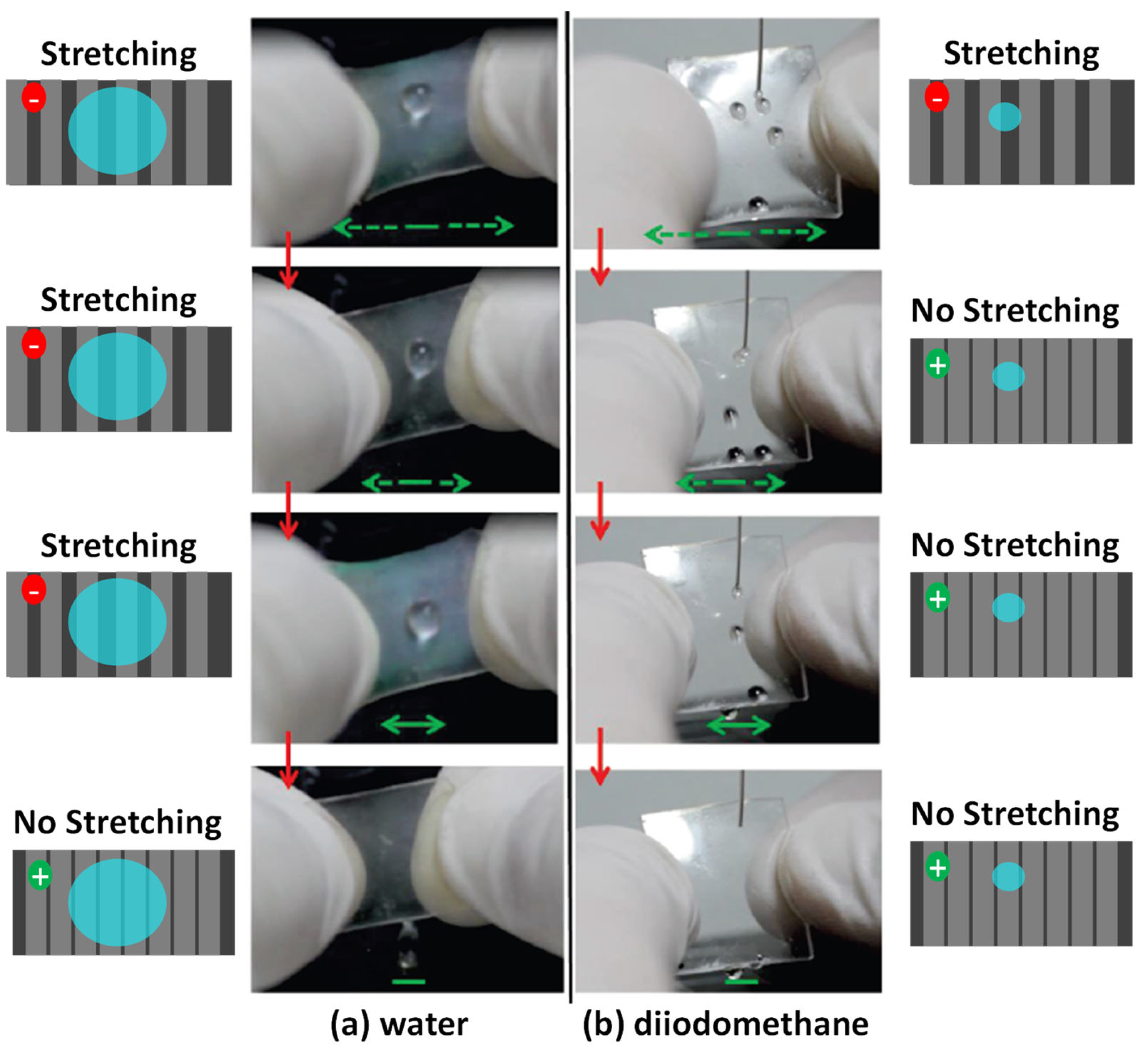 Nanomaterials 11 02566 g004