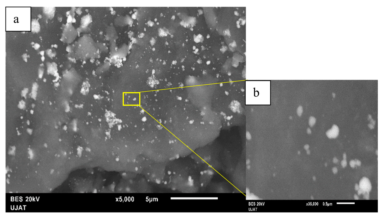 Nanomaterials 11 02570 g004