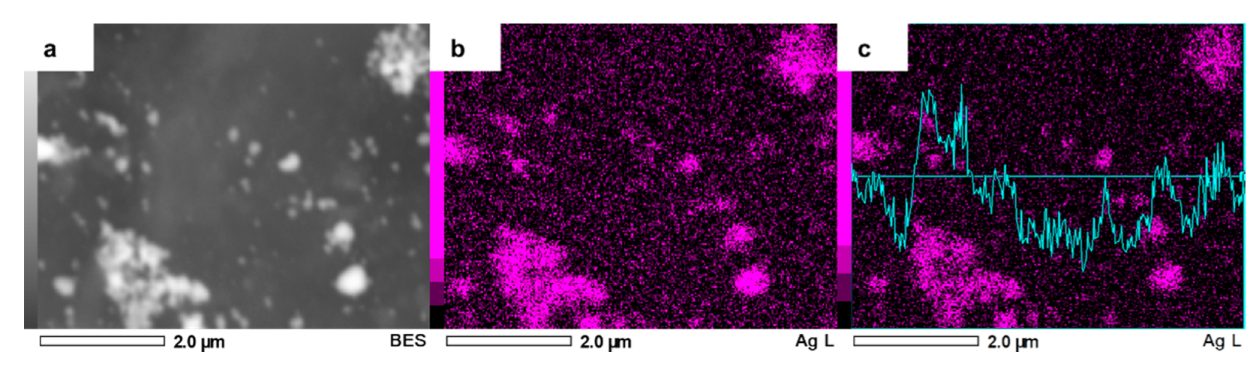 Nanomaterials 11 02570 g007