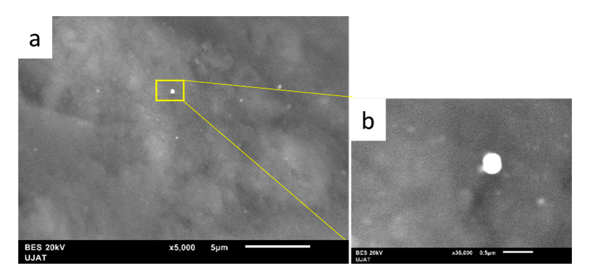 Nanomaterials 11 02570 g008