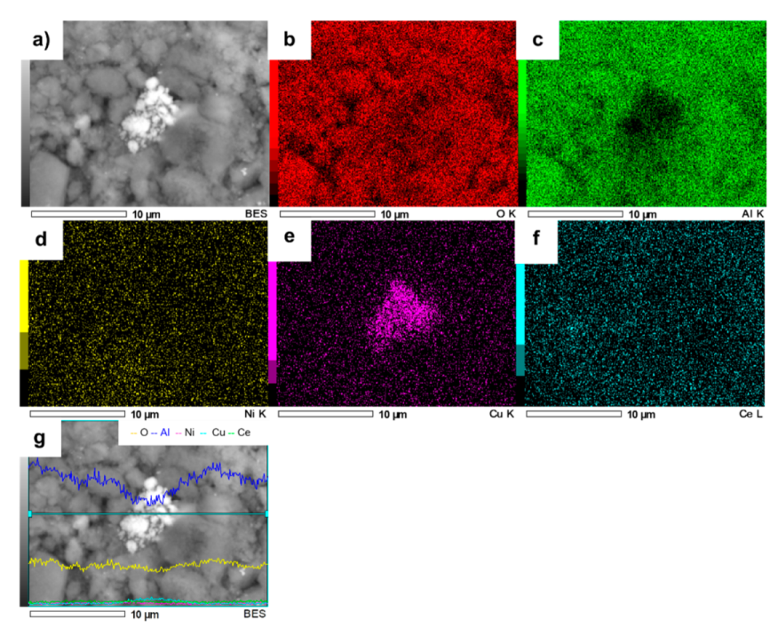Nanomaterials 11 02570 g010