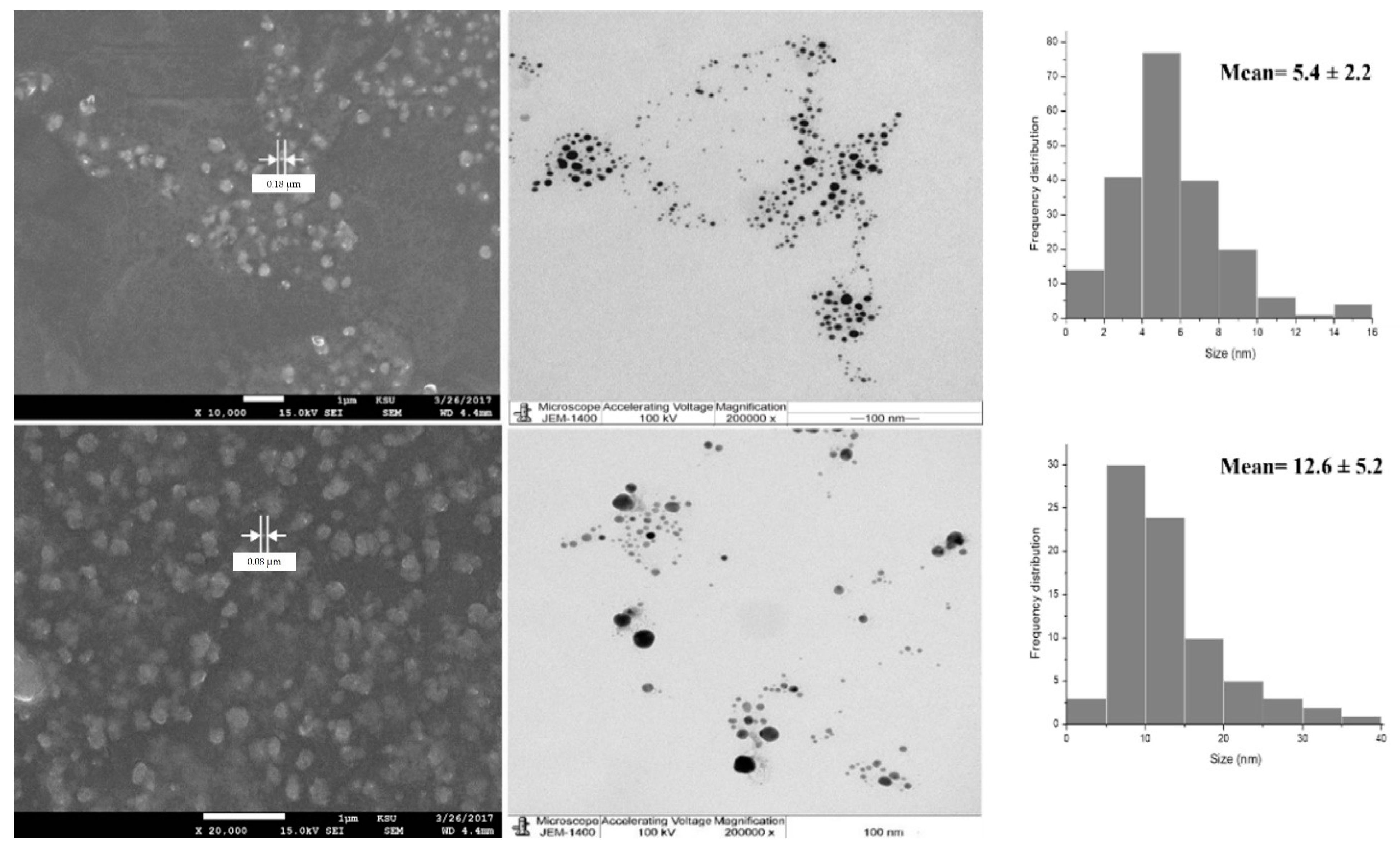 Nanomaterials 11 02573 g003