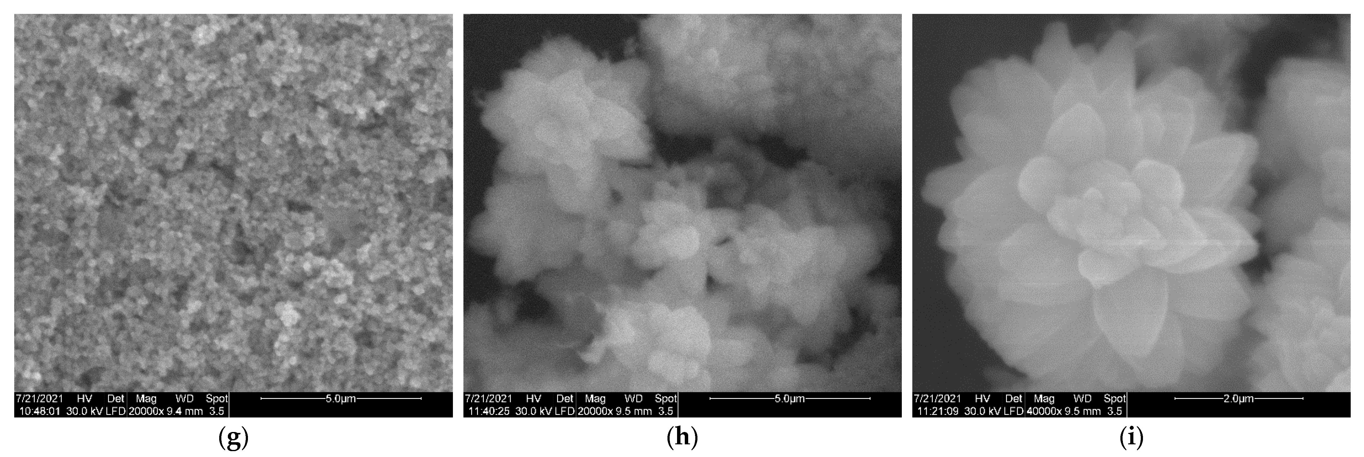 Nanomaterials 11 02574 g003b